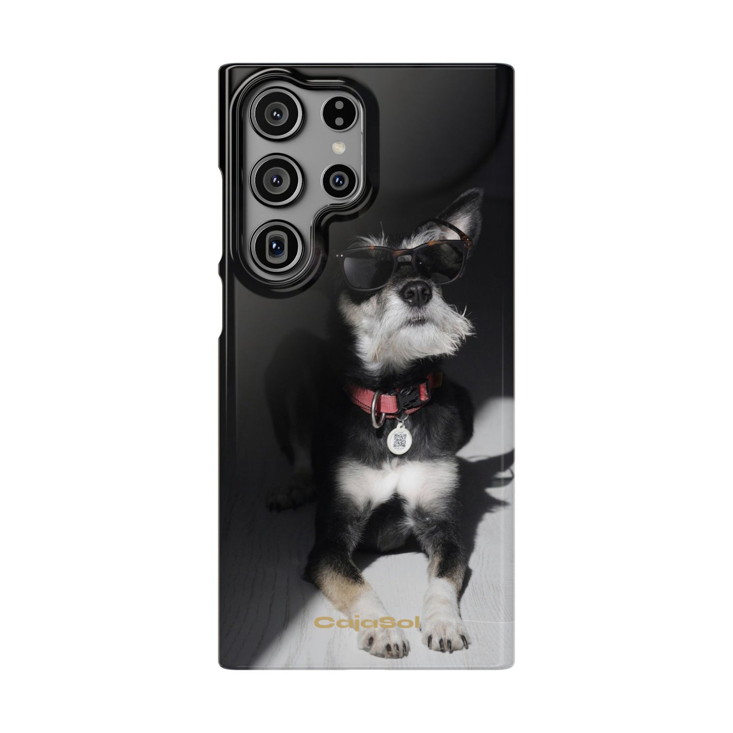Cool Dog Cajasol - Stylish Pet