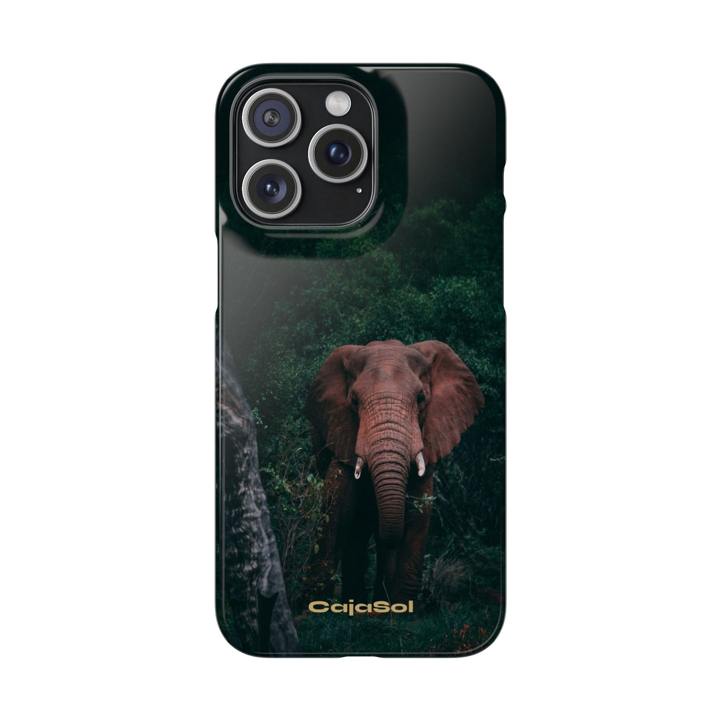 Wildlife Lover's Cajasol - Majestic Elephant