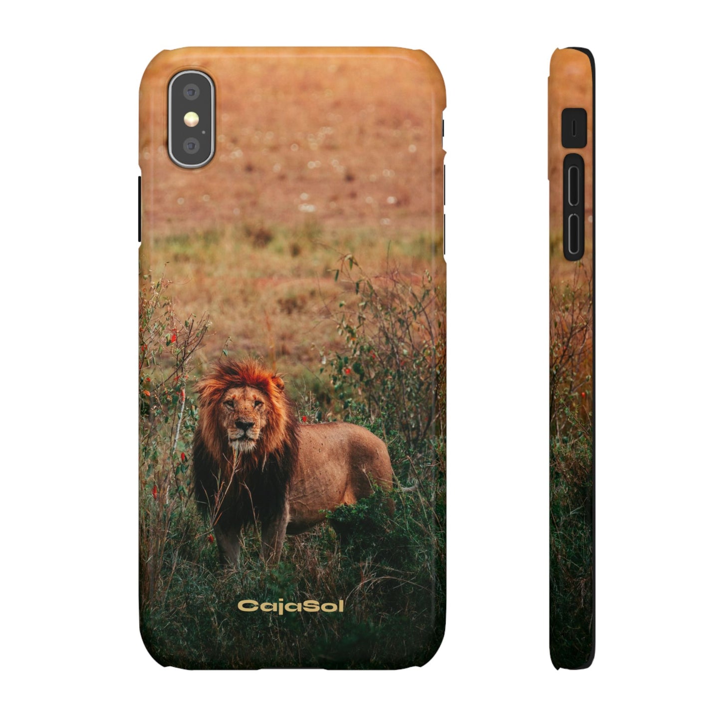 Majestic Lion Cajasol - Nature Inspired