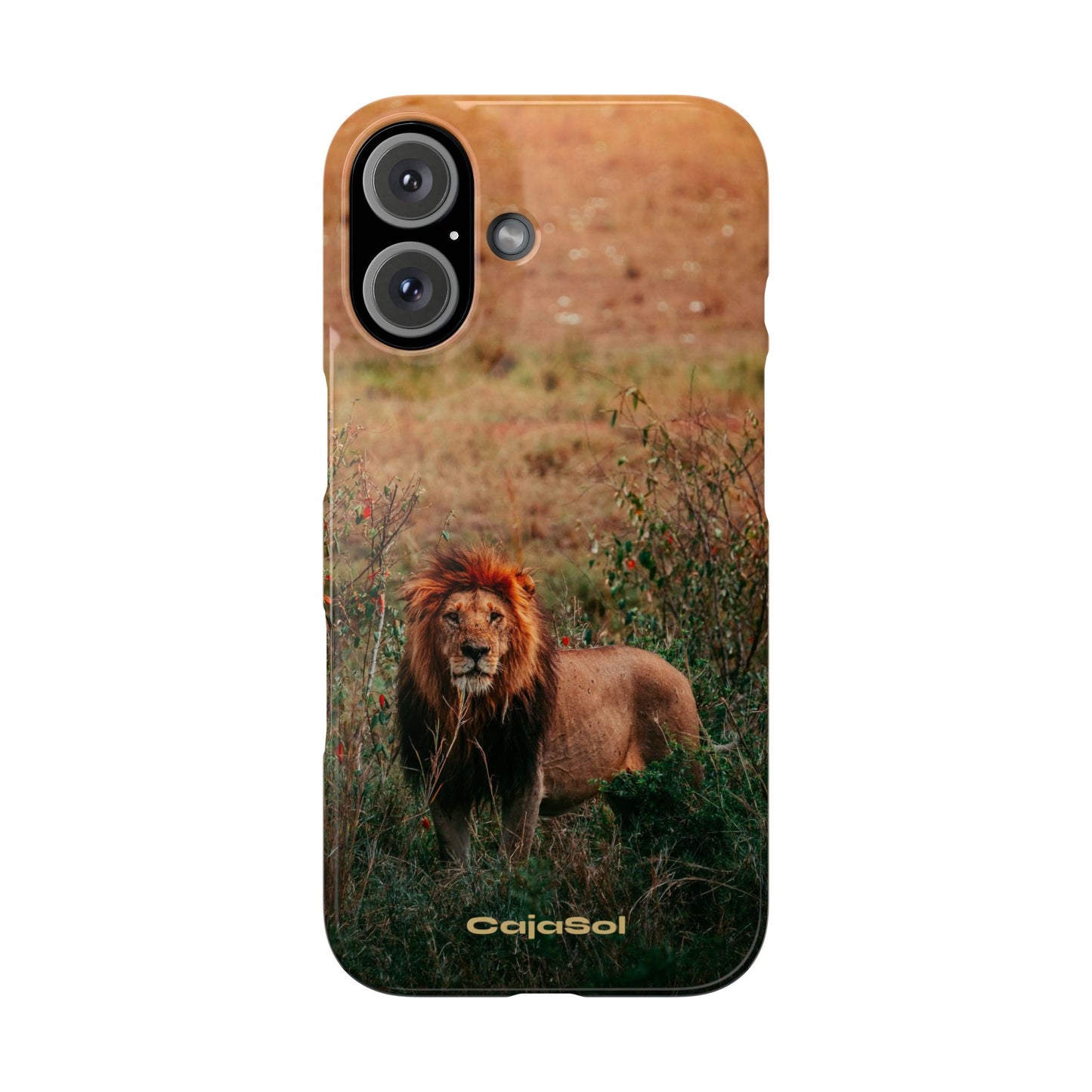 Majestic Lion Cajasol - Nature Inspired