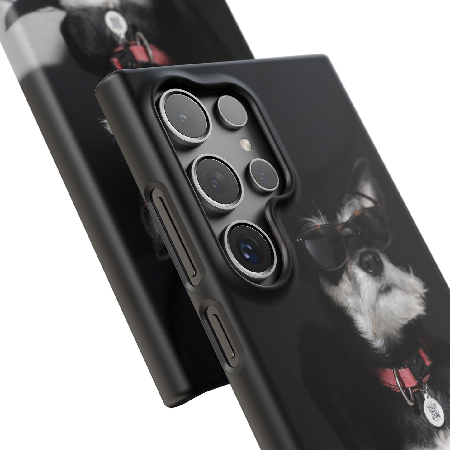 Cool Dog Cajasol - Stylish Pet