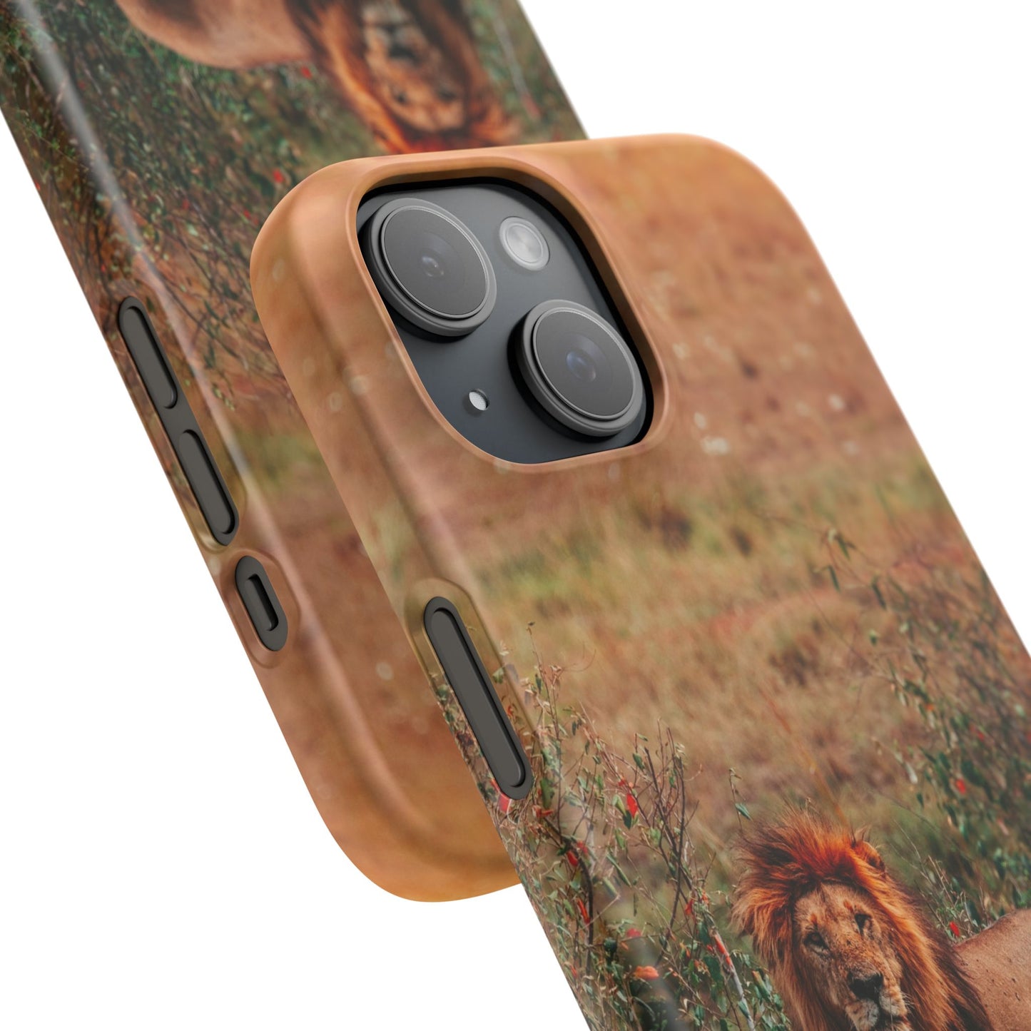 Majestic Lion Cajasol - Nature Inspired