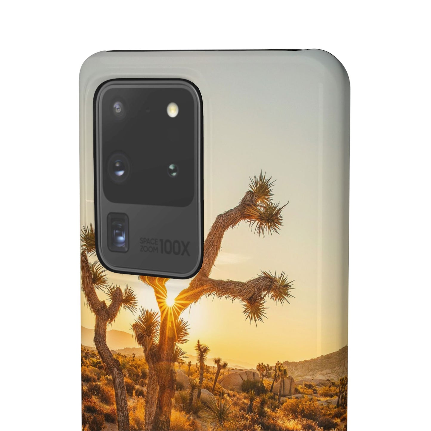 Desert Sunset Cajasol - Stylish Protection for Nature Lovers