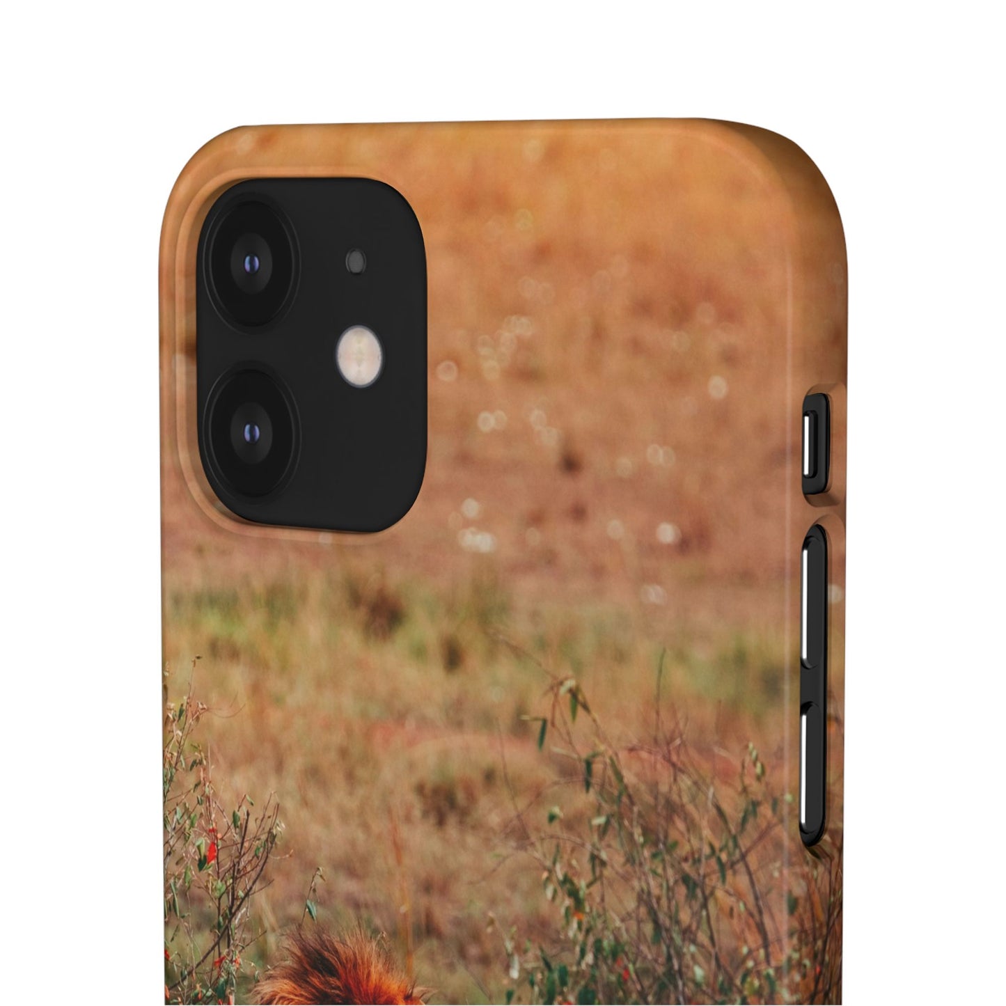 Majestic Lion Cajasol - Nature Inspired