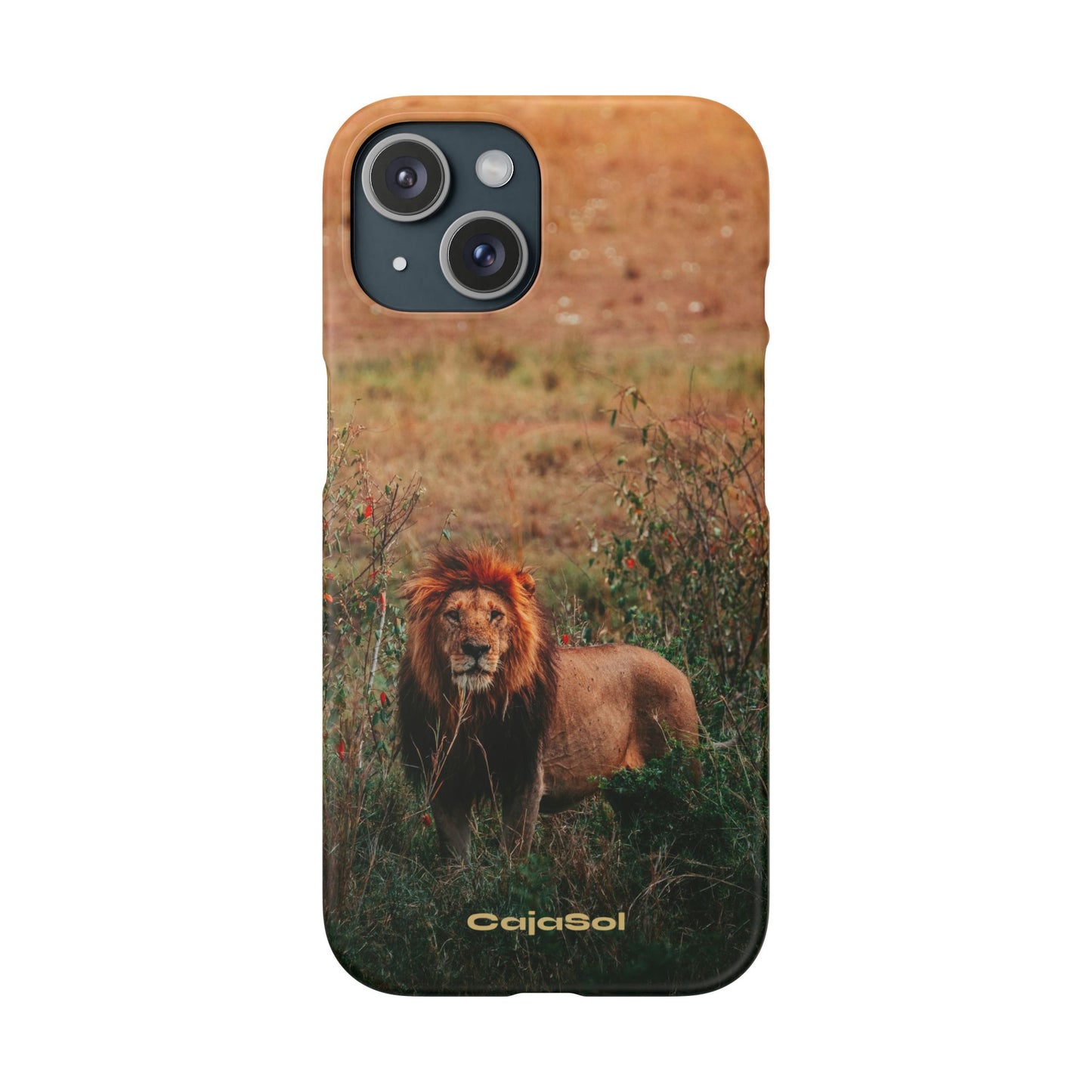 Majestic Lion Cajasol - Nature Inspired