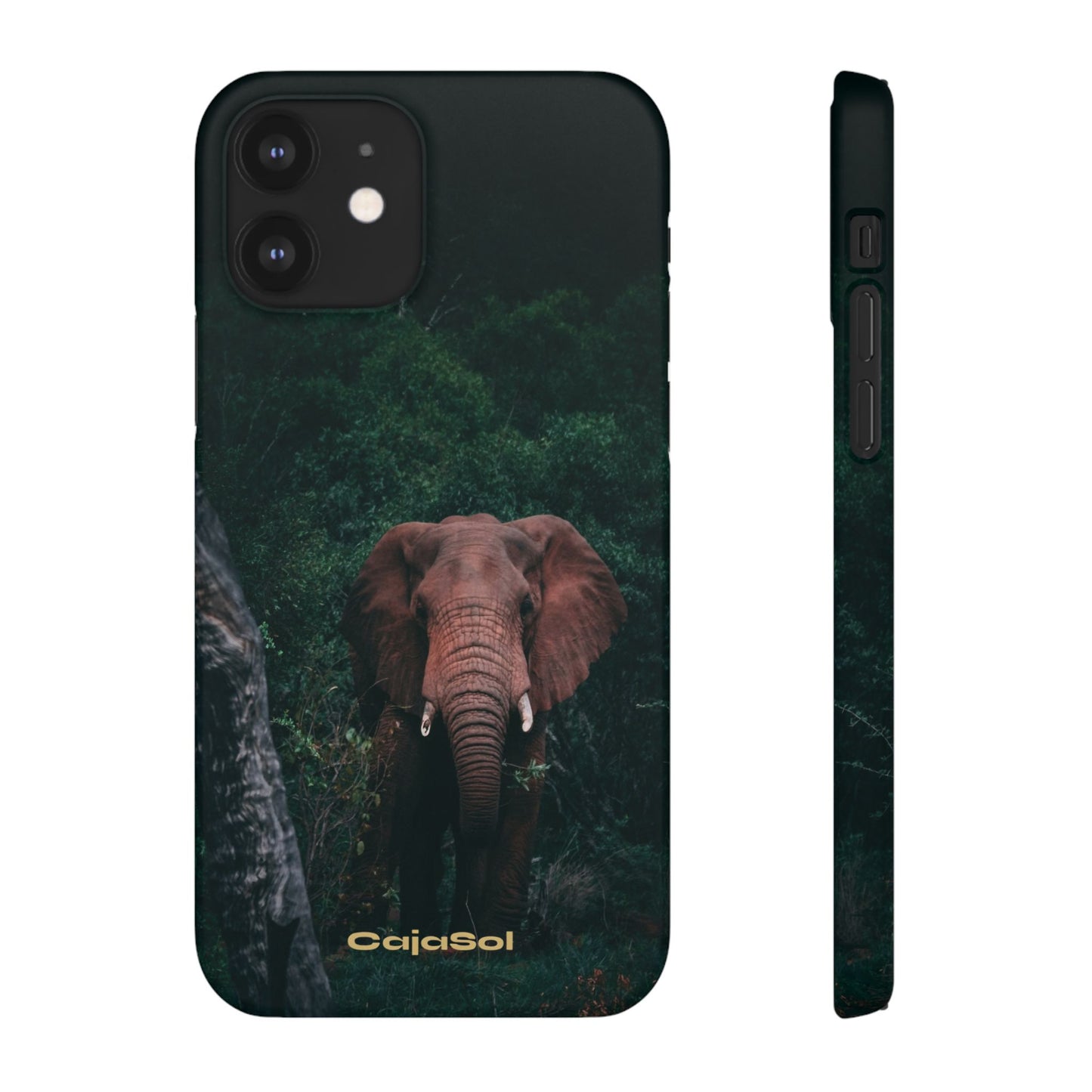 Wildlife Lover's Cajasol - Majestic Elephant