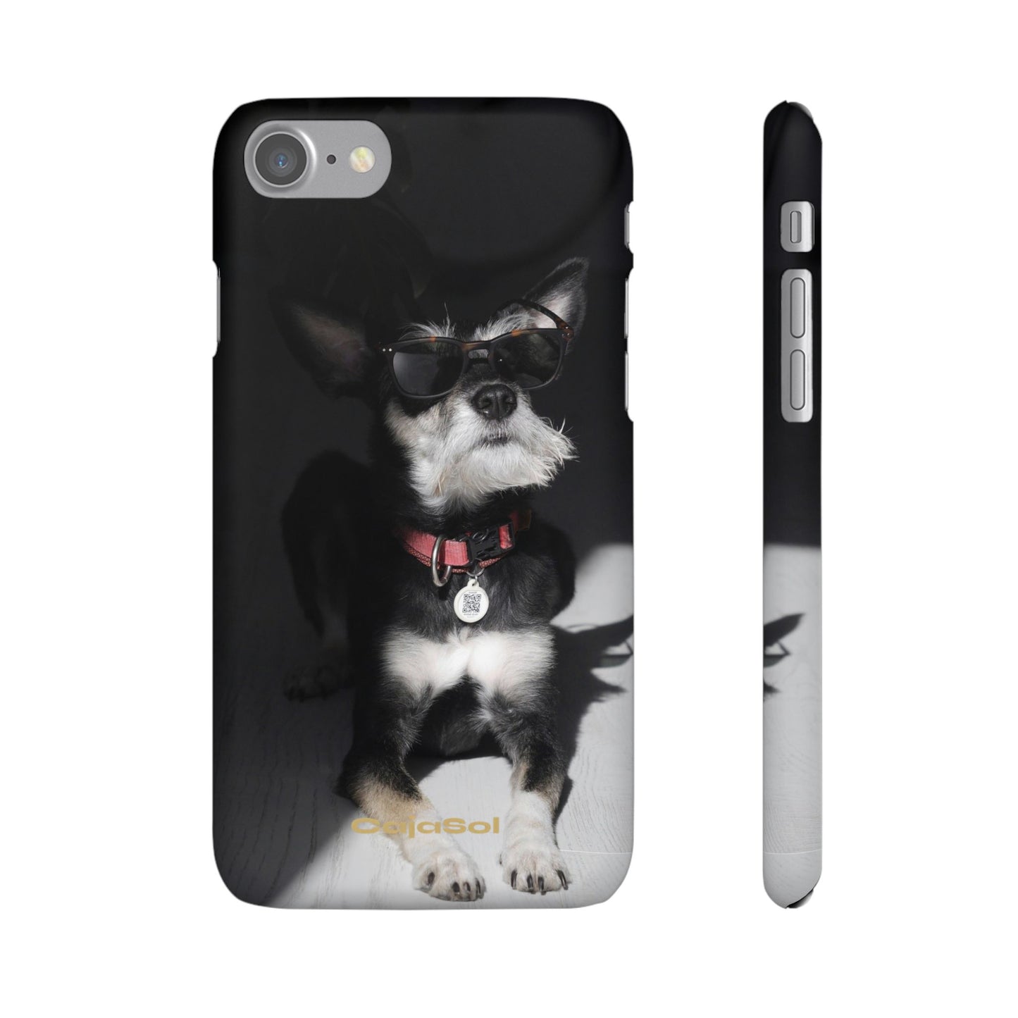 Cool Dog Cajasol - Stylish Pet