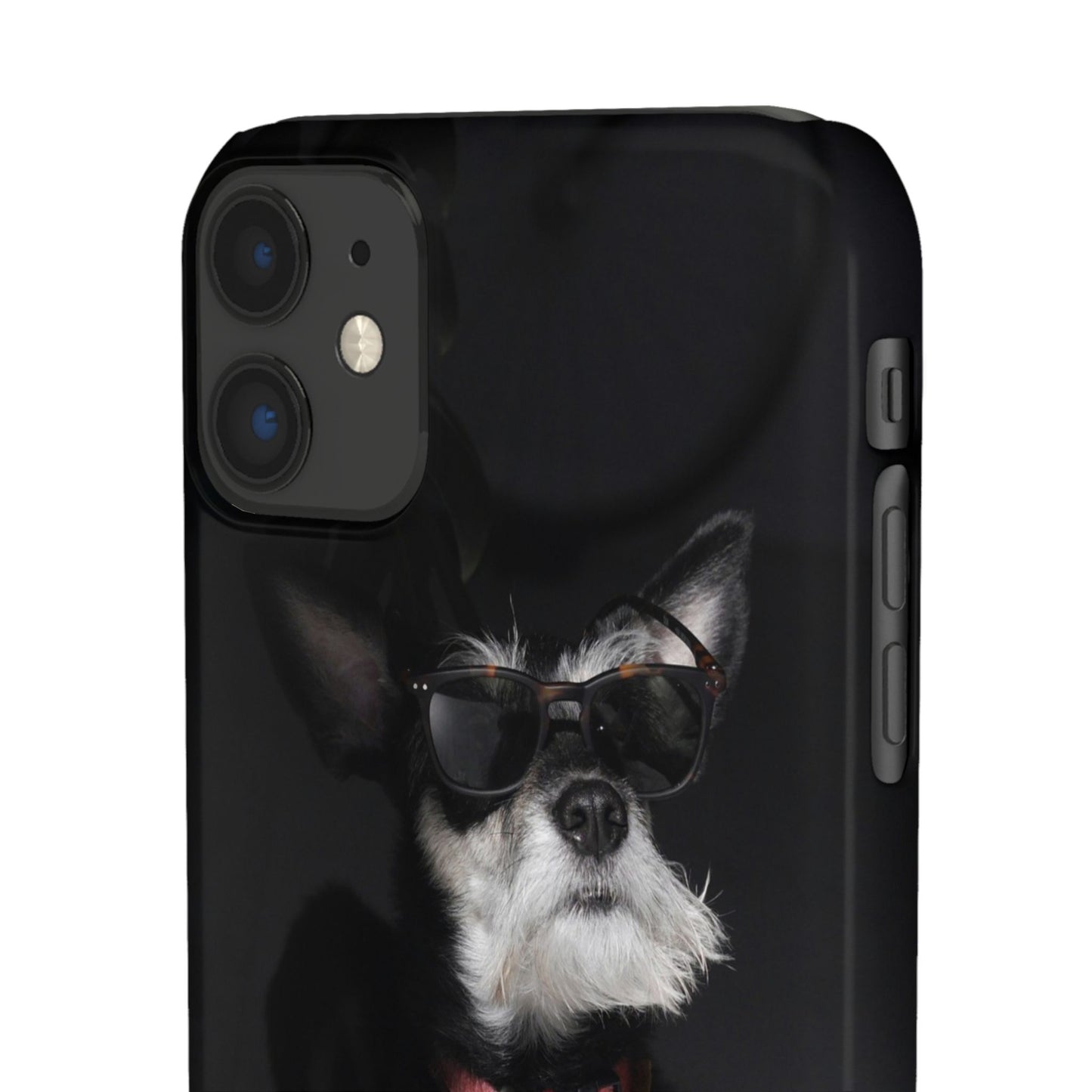 Cool Dog Cajasol - Stylish Pet