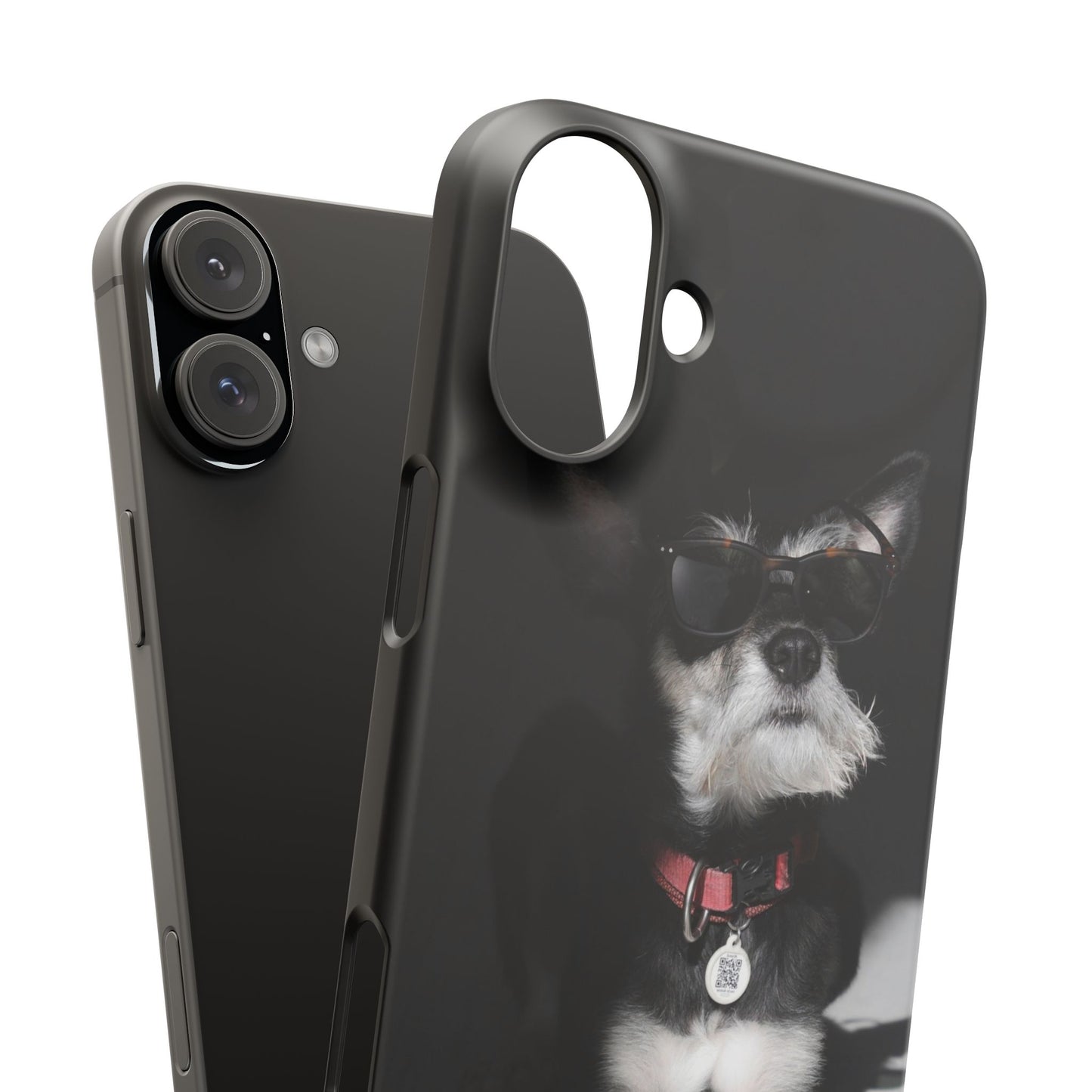 Cool Dog Cajasol - Stylish Pet