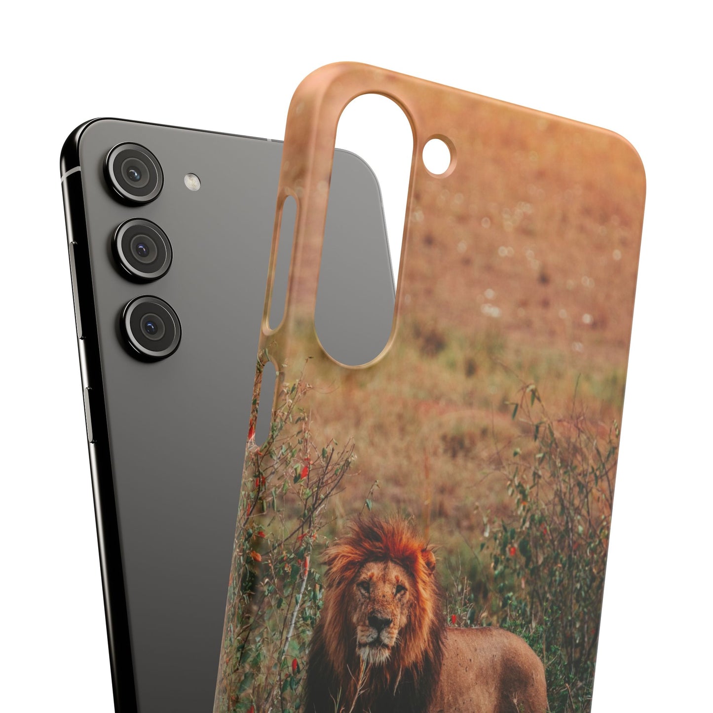 Majestic Lion Cajasol - Nature Inspired