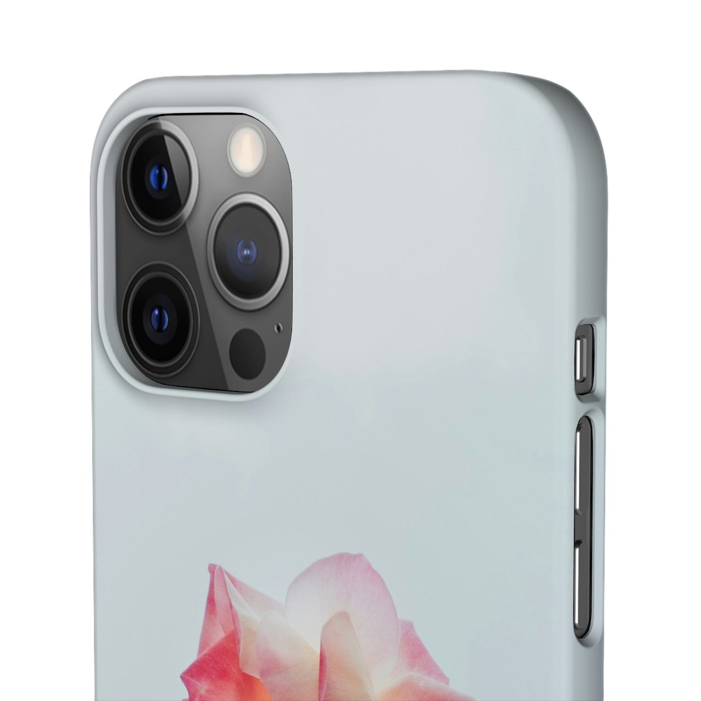 Floral Cajasol - Elegant Pink Flower