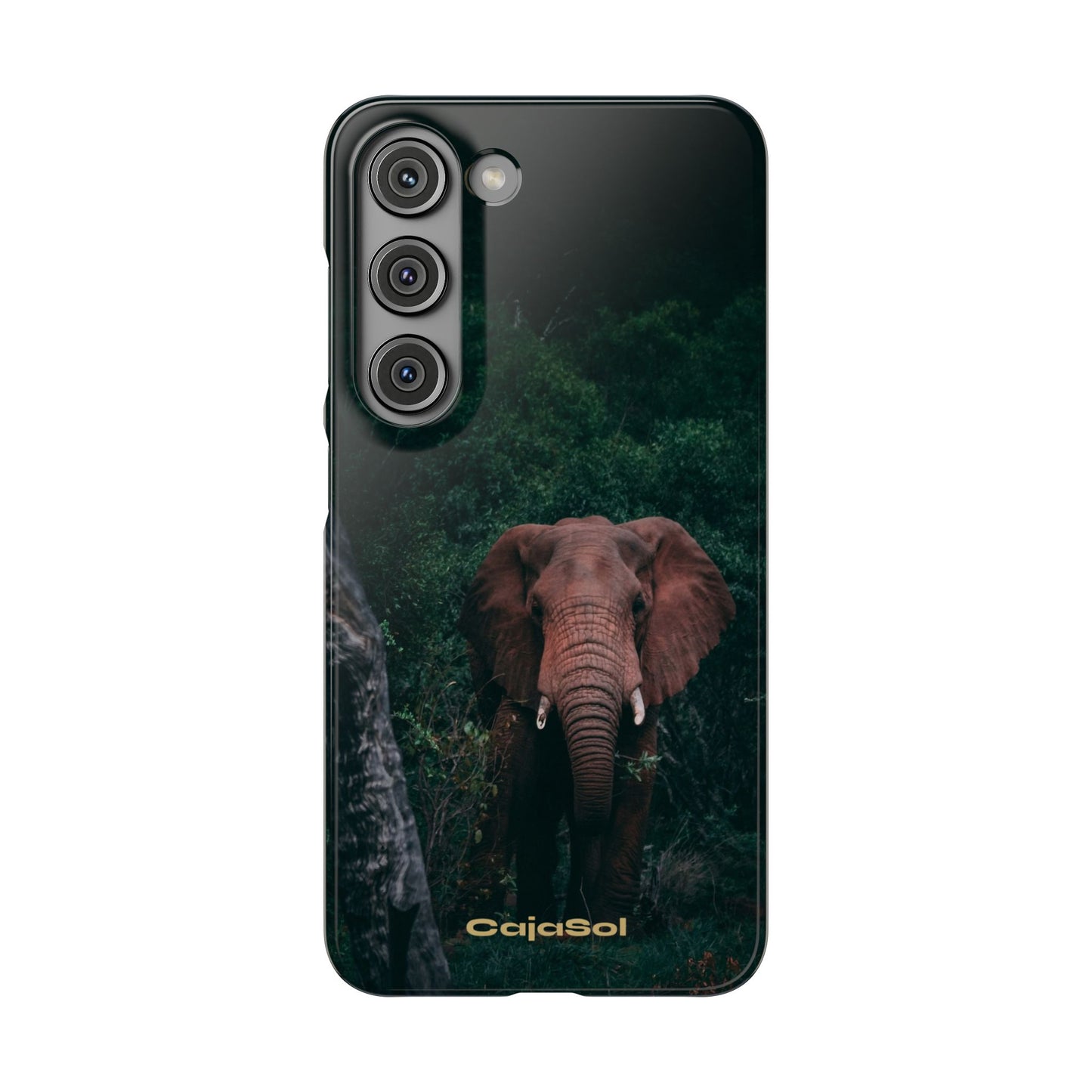 Wildlife Lover's Cajasol - Majestic Elephant