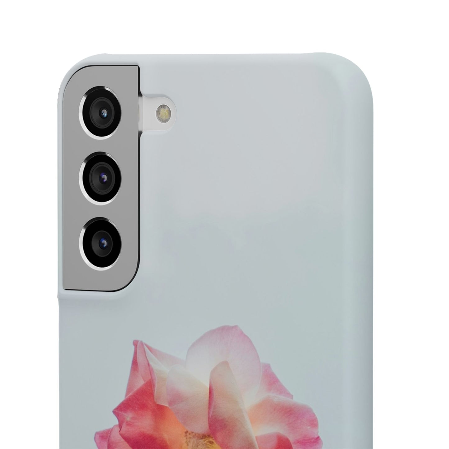 Floral Cajasol - Elegant Pink Flower