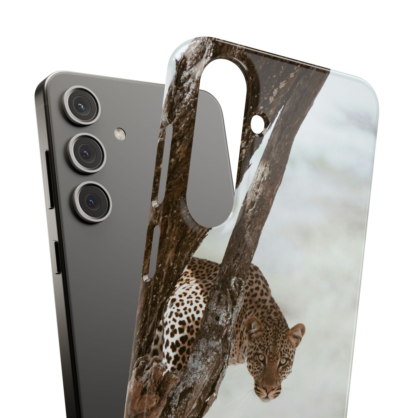Leopard Cajasol - Wildlife Vibes