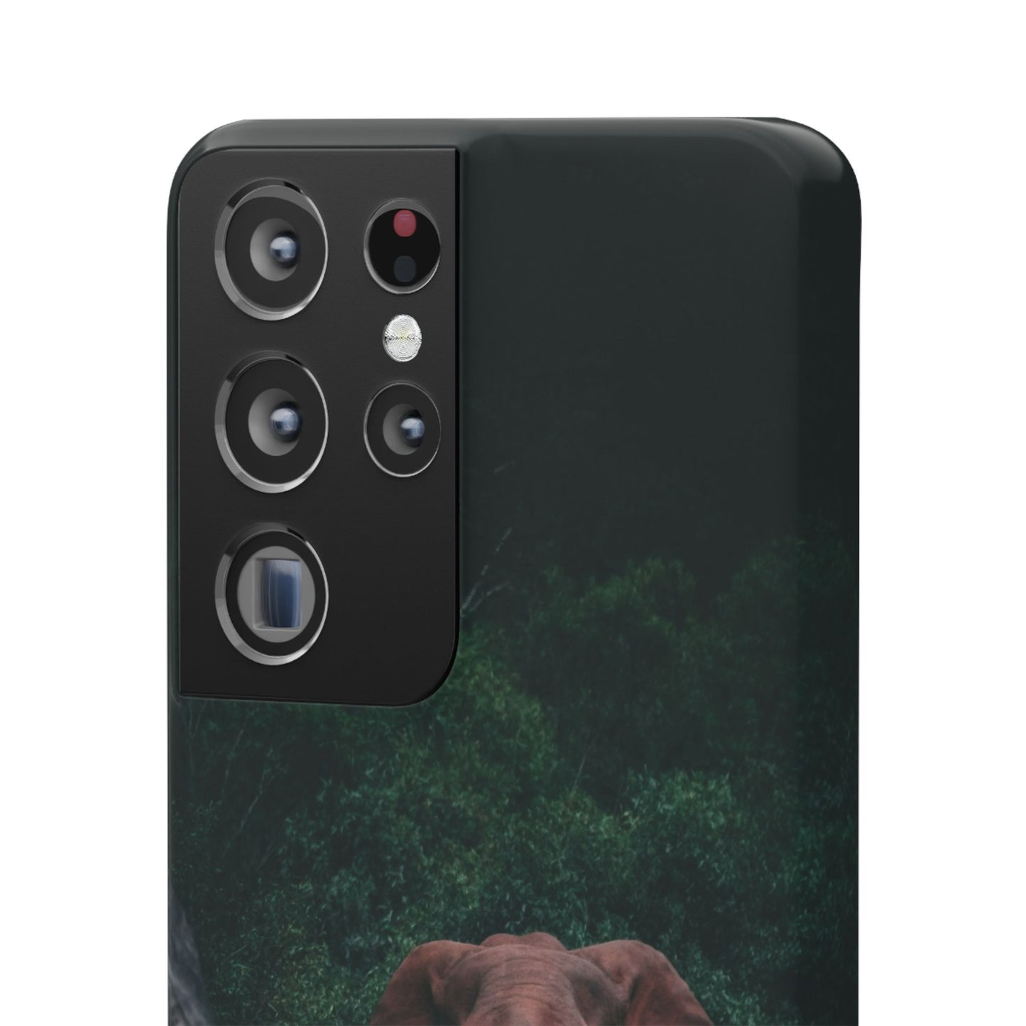 Wildlife Lover's Cajasol - Majestic Elephant