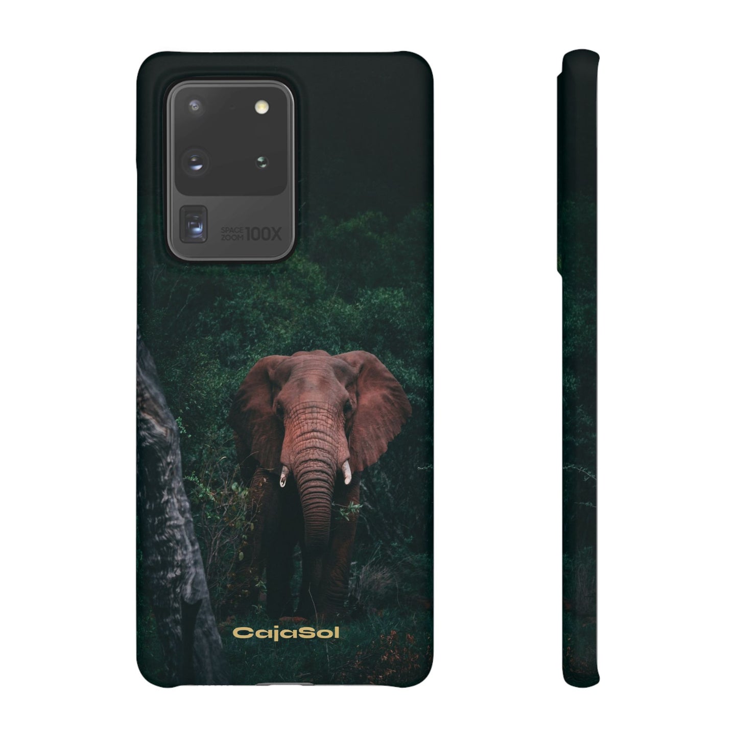 Wildlife Lover's Cajasol - Majestic Elephant