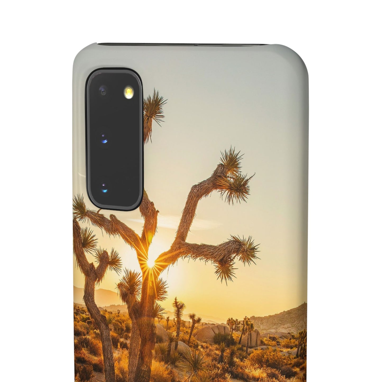 Desert Sunset Cajasol - Stylish Protection for Nature Lovers
