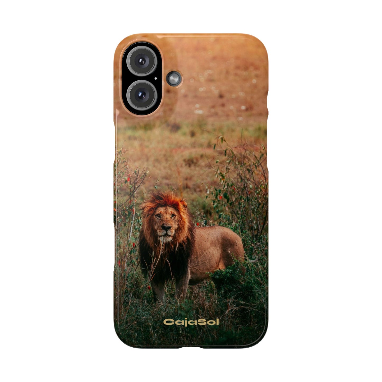 Majestic Lion Cajasol - Nature Inspired