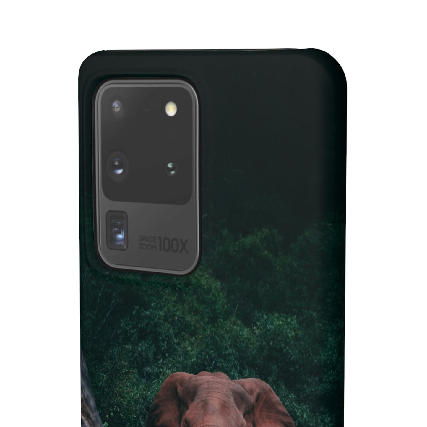 Wildlife Lover's Cajasol - Majestic Elephant