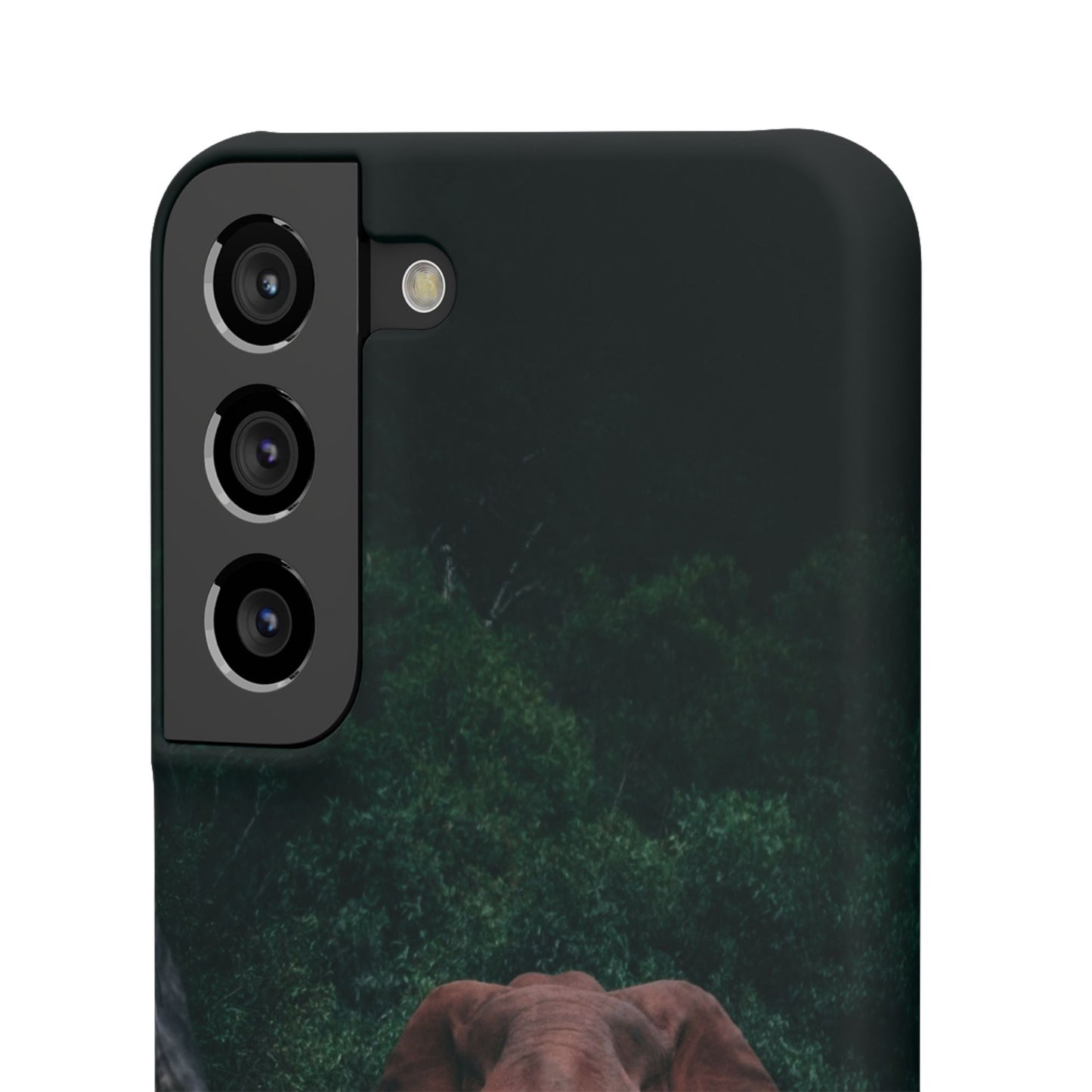 Wildlife Lover's Cajasol - Majestic Elephant