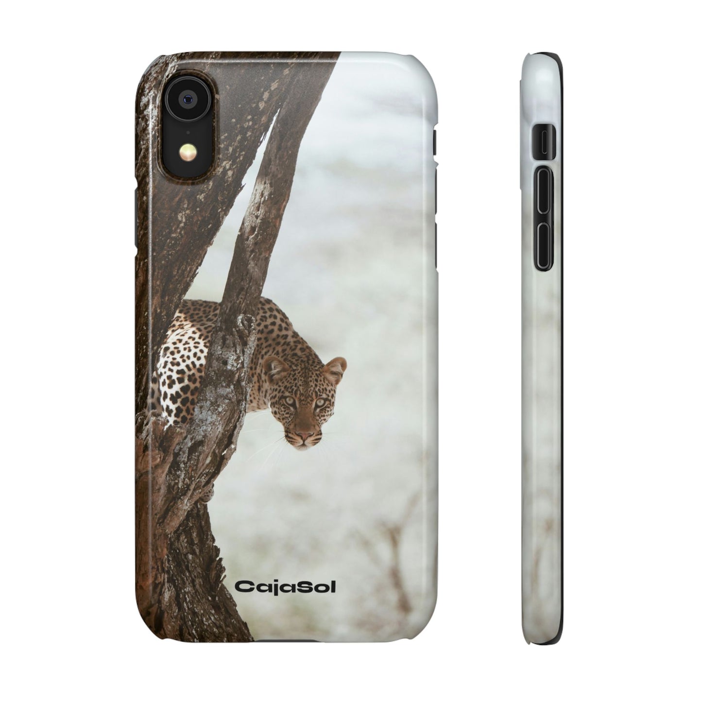 Leopard Cajasol - Wildlife Vibes