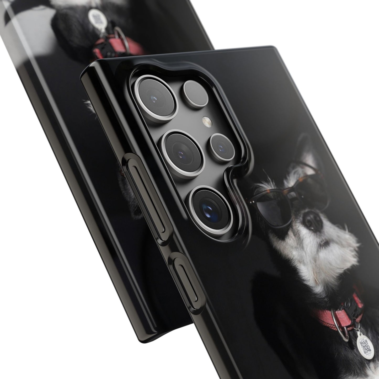 Cool Dog Cajasol - Stylish Pet