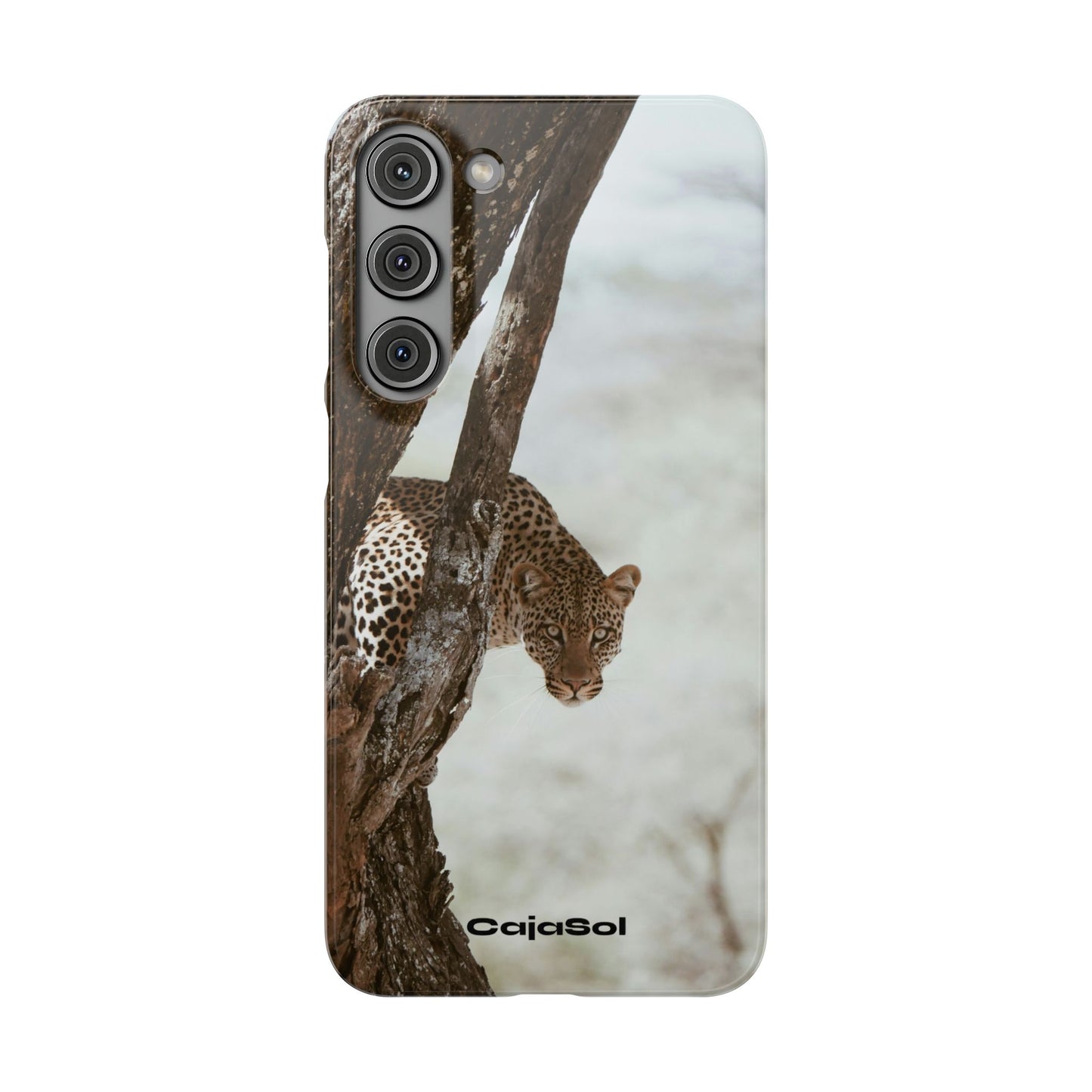 Leopard Cajasol - Wildlife Vibes