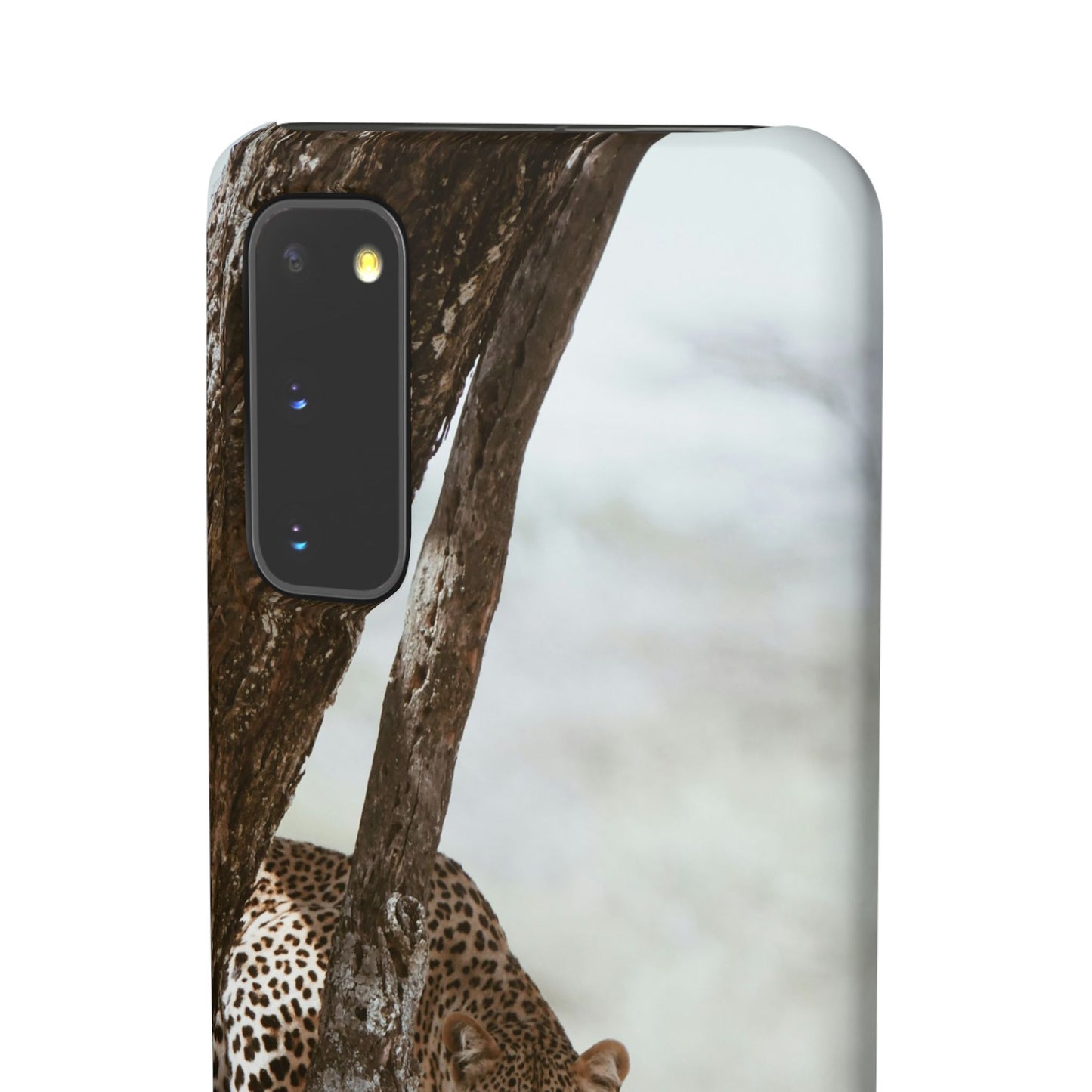 Leopard Cajasol - Wildlife Vibes