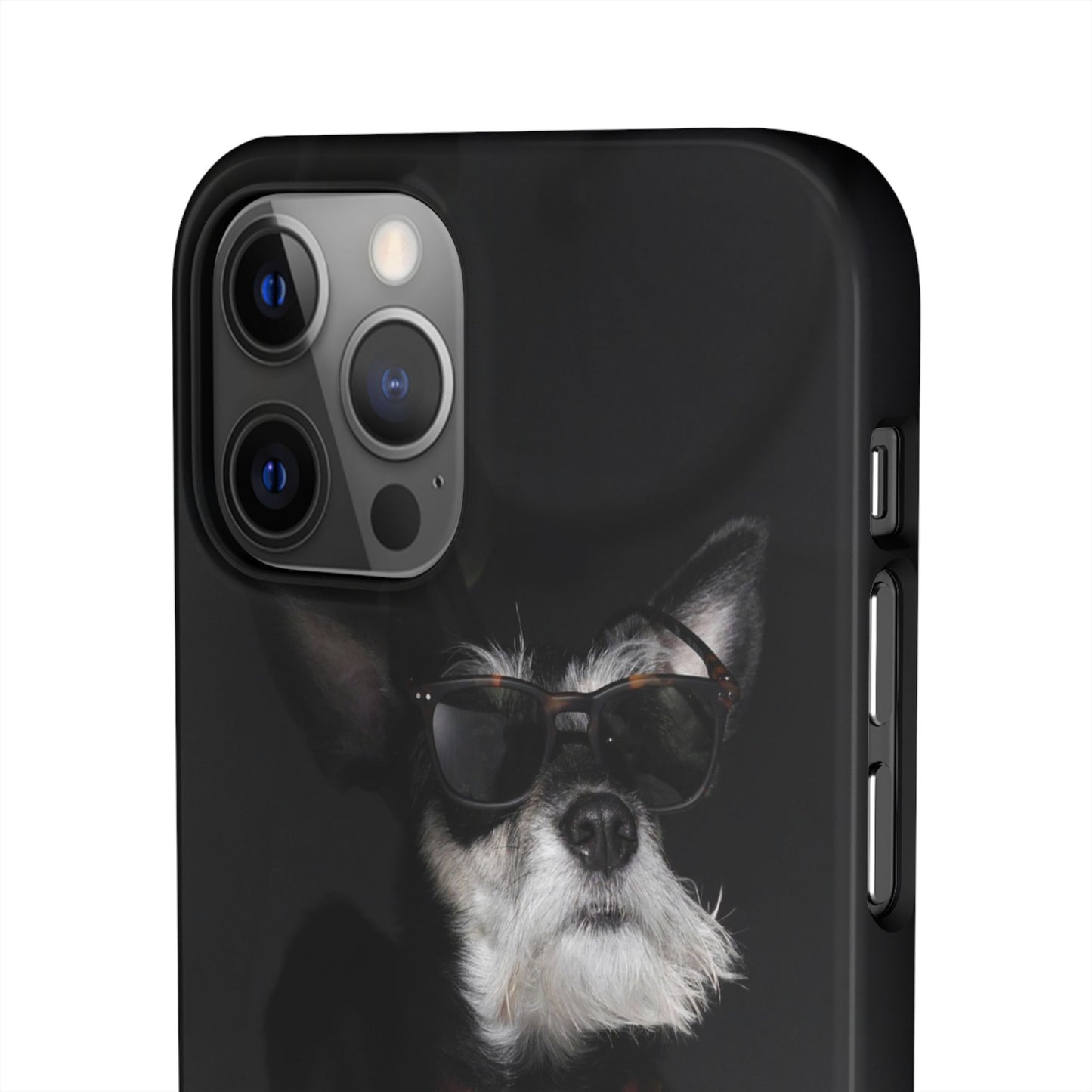 Cool Dog Cajasol - Stylish Pet