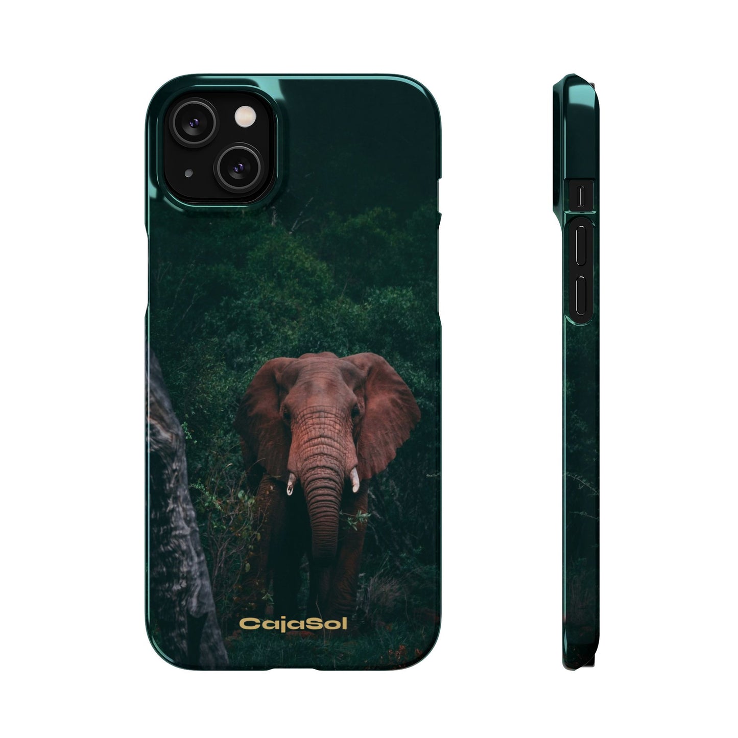 Wildlife Lover's Cajasol - Majestic Elephant