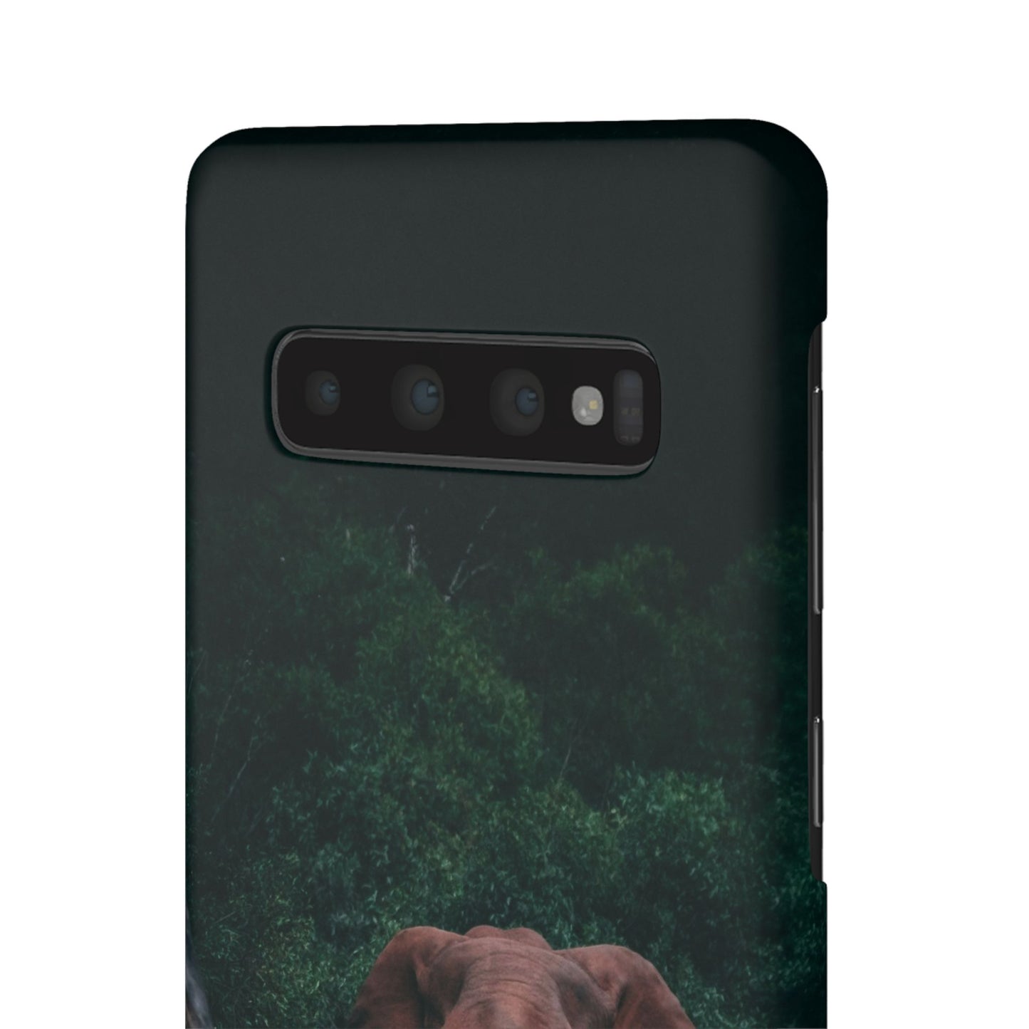 Wildlife Lover's Cajasol - Majestic Elephant