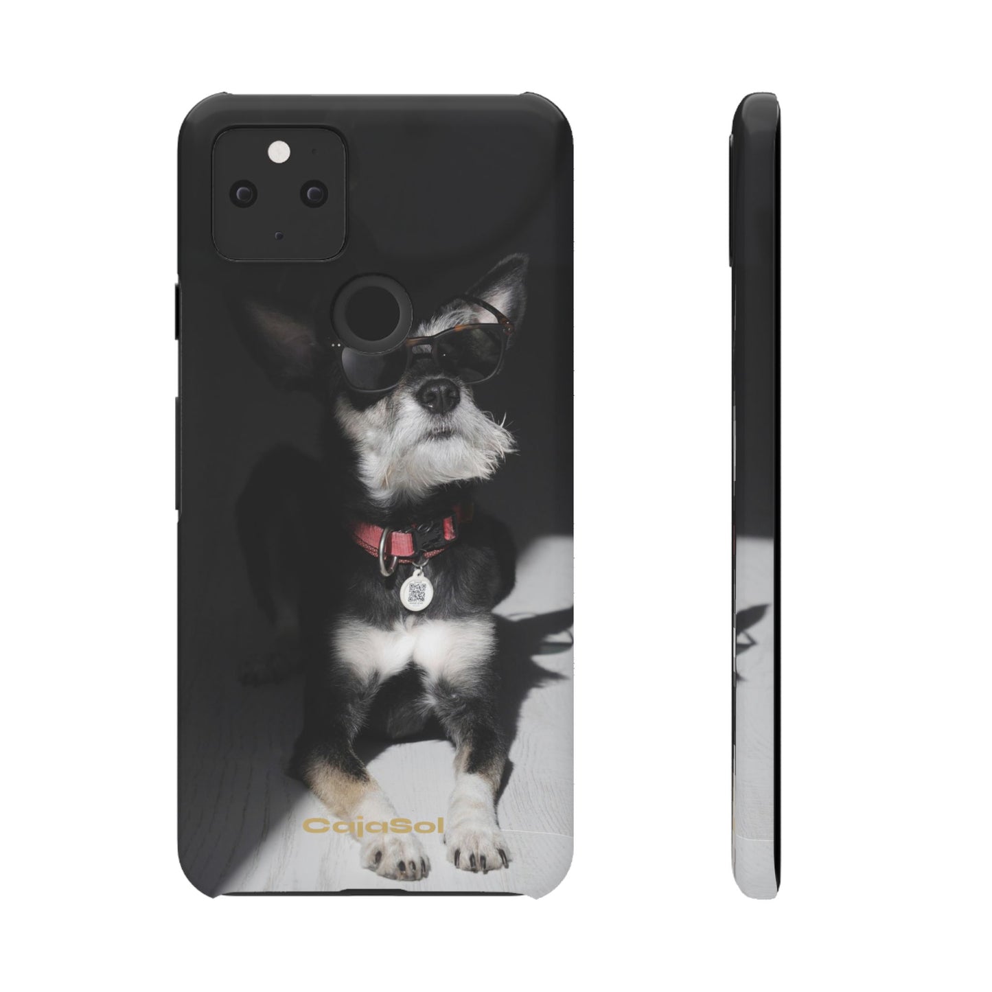Cool Dog Cajasol - Stylish Pet