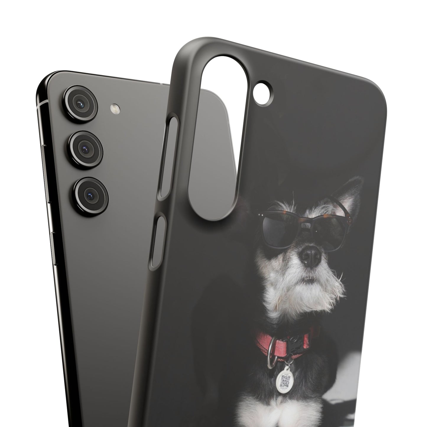 Cool Dog Cajasol - Stylish Pet