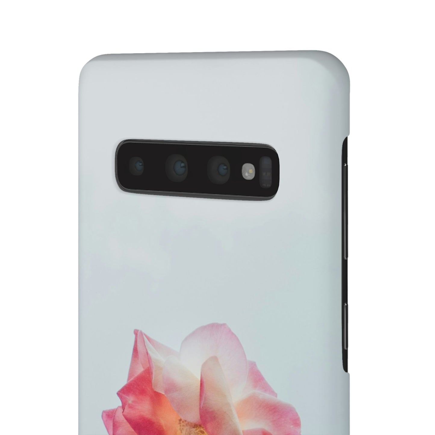 Floral Cajasol - Elegant Pink Flower
