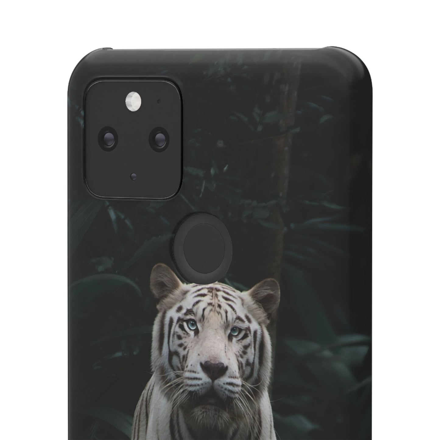 Majestic White Tiger Cajasol - Elegant & Protective for Wildlife Lovers