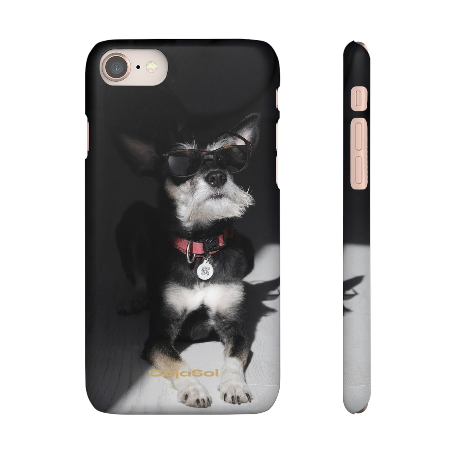 Cool Dog Cajasol - Stylish Pet