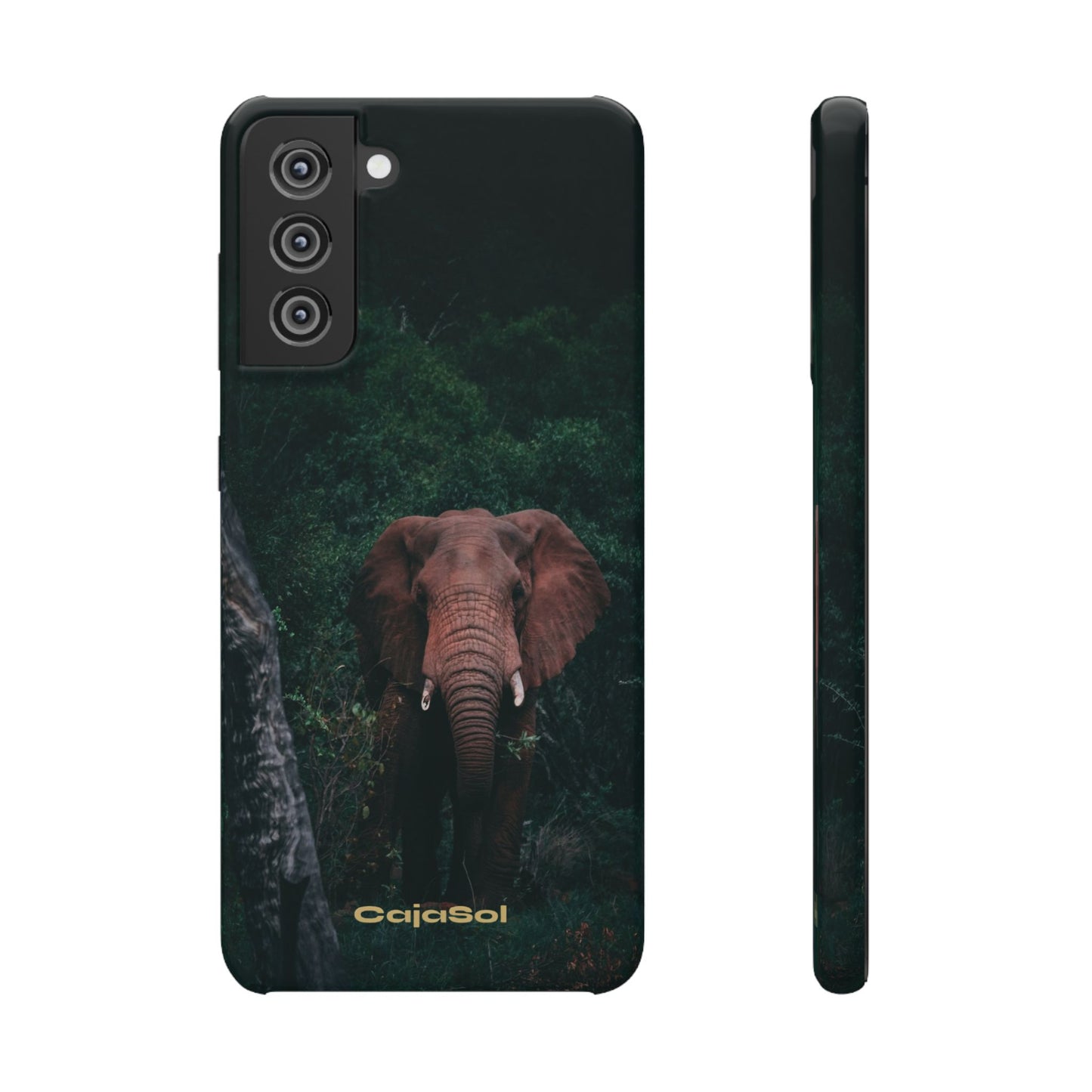 Wildlife Lover's Cajasol - Majestic Elephant