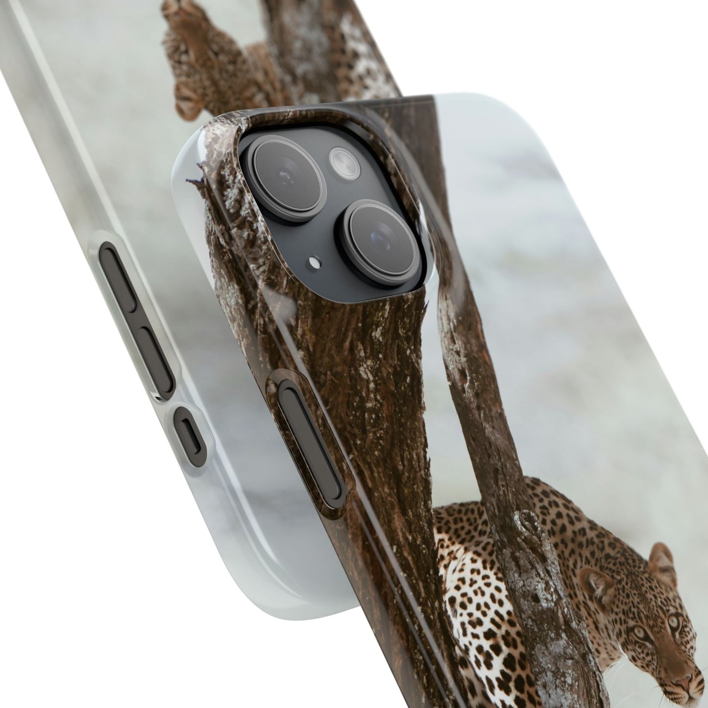 Leopard Cajasol - Wildlife Vibes