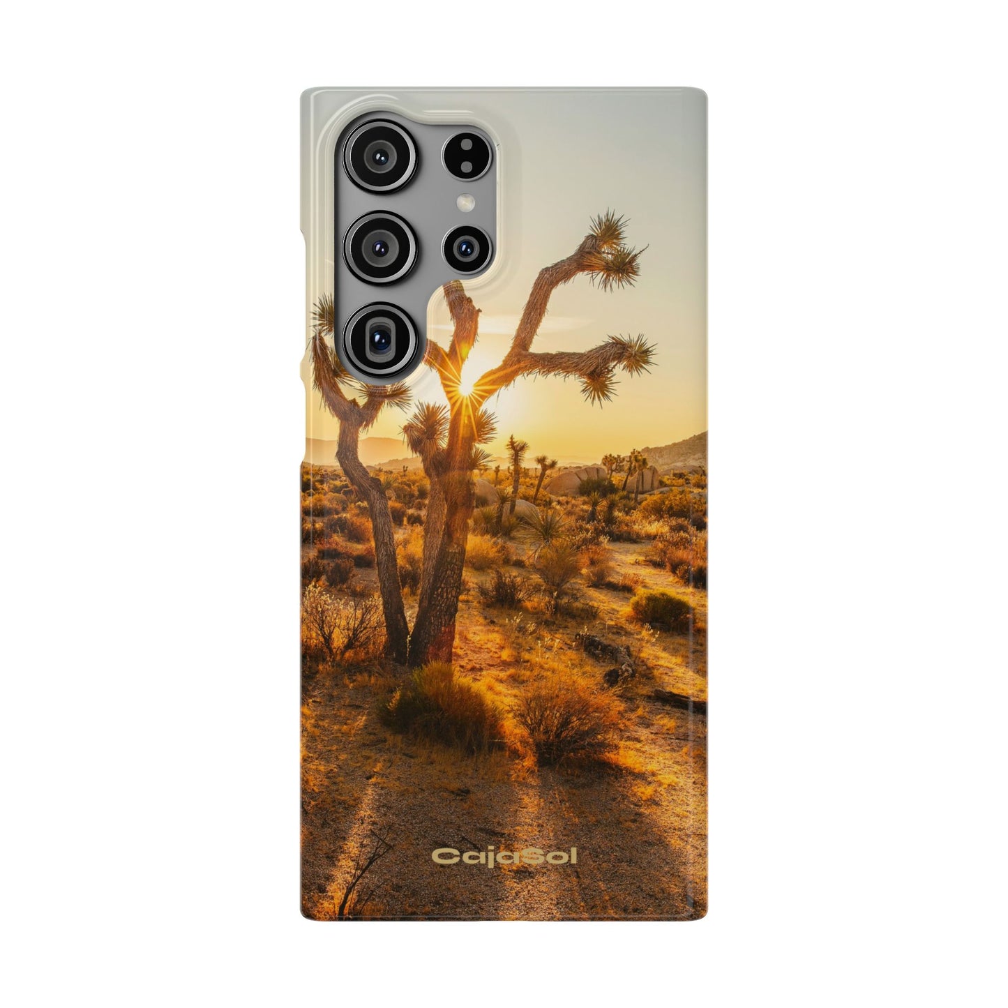 Desert Sunset Cajasol - Stylish Protection for Nature Lovers