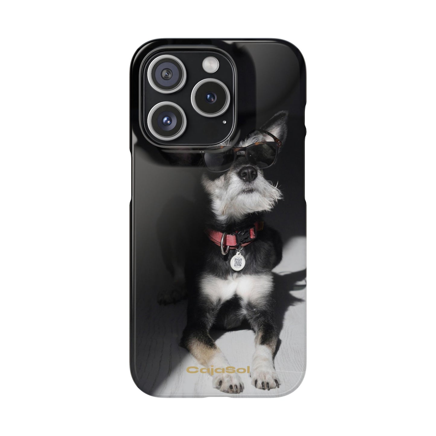 Cool Dog Cajasol - Stylish Pet