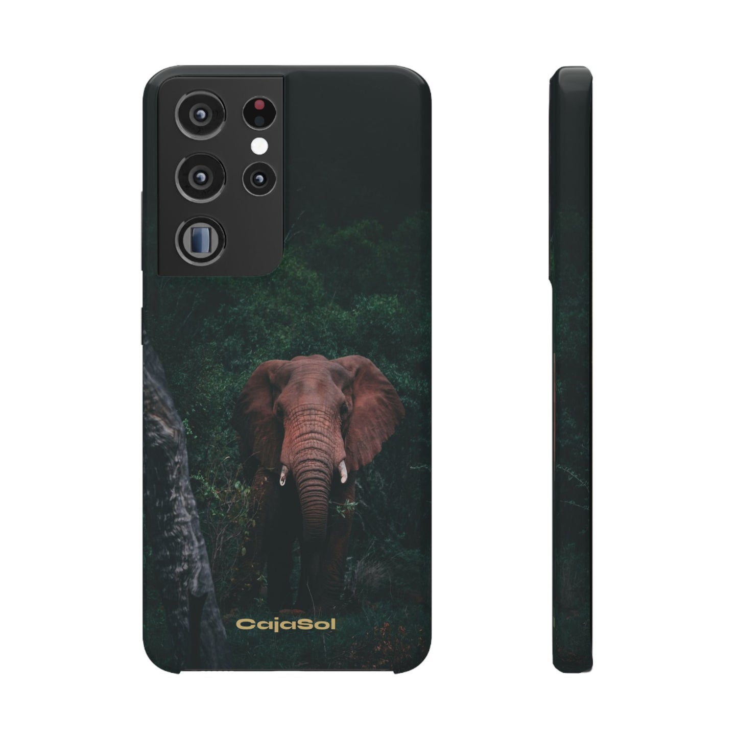 Wildlife Lover's Cajasol - Majestic Elephant