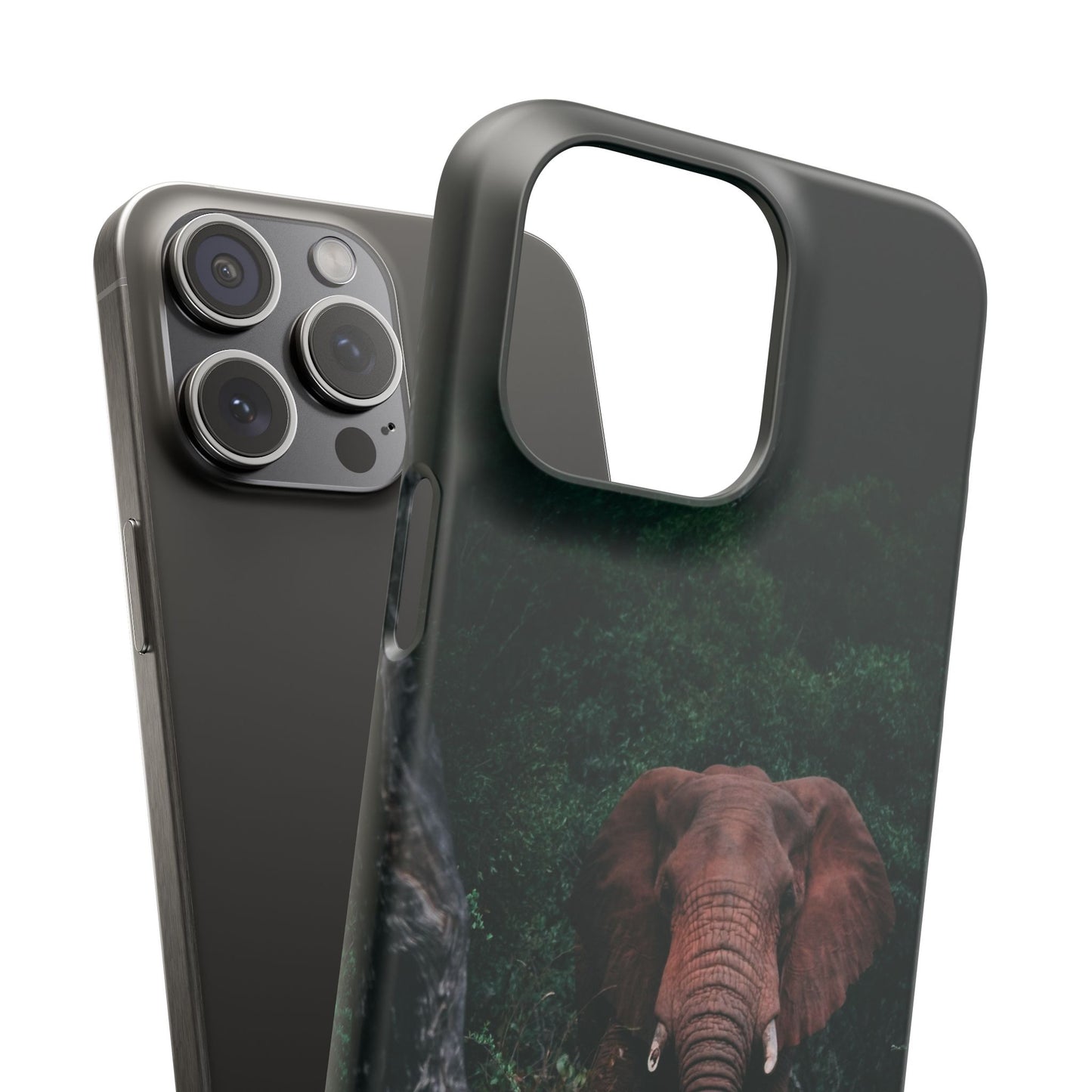 Wildlife Lover's Cajasol - Majestic Elephant