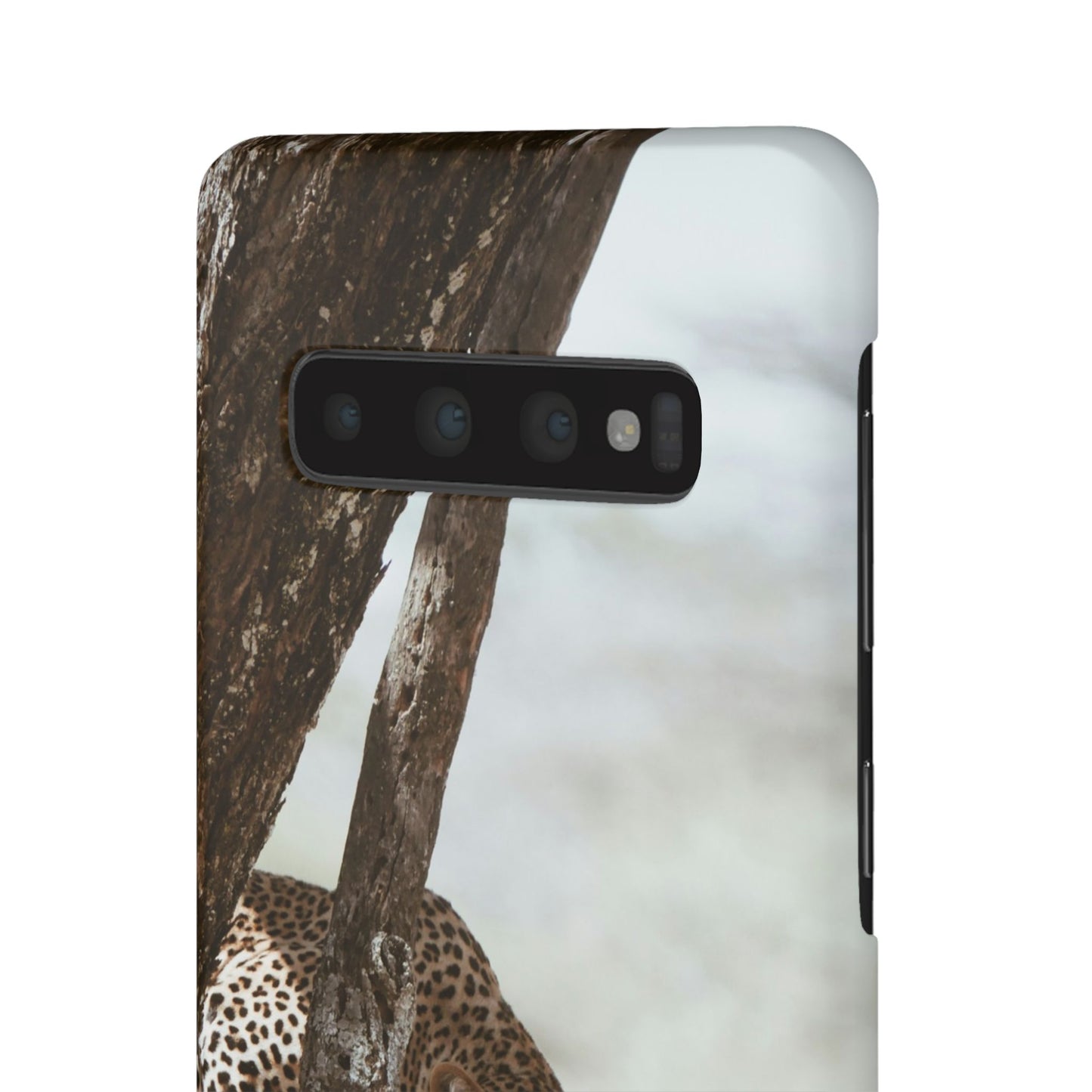 Leopard Cajasol - Wildlife Vibes