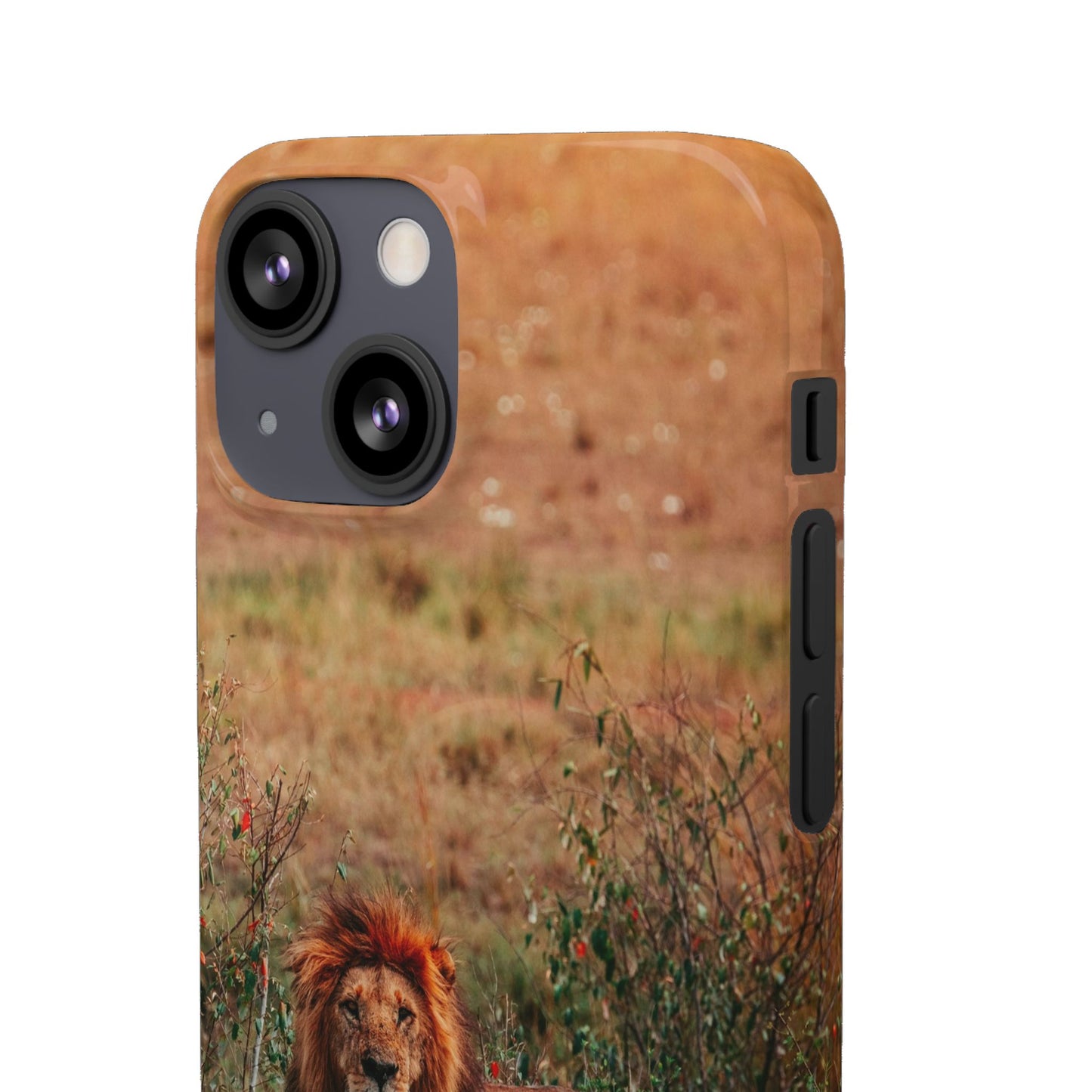 Majestic Lion Cajasol - Nature Inspired