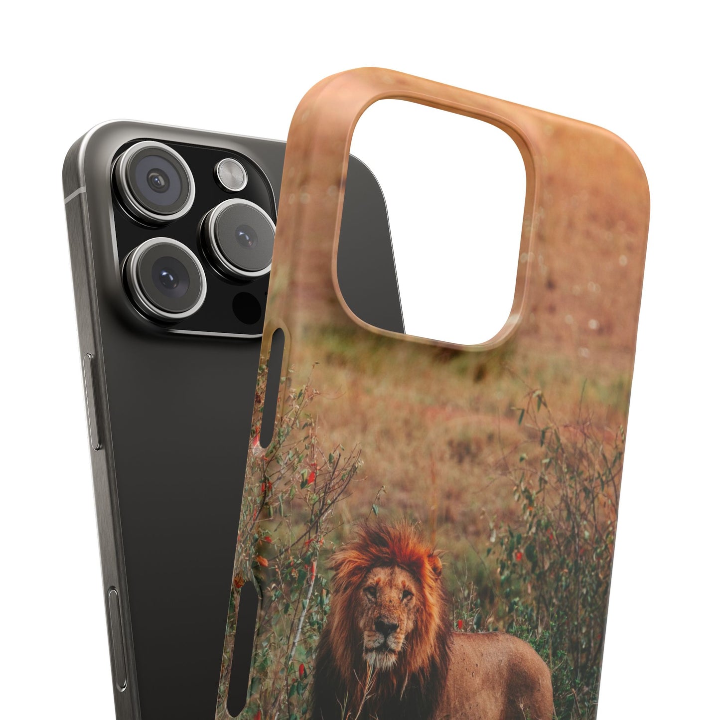 Majestic Lion Cajasol - Nature Inspired
