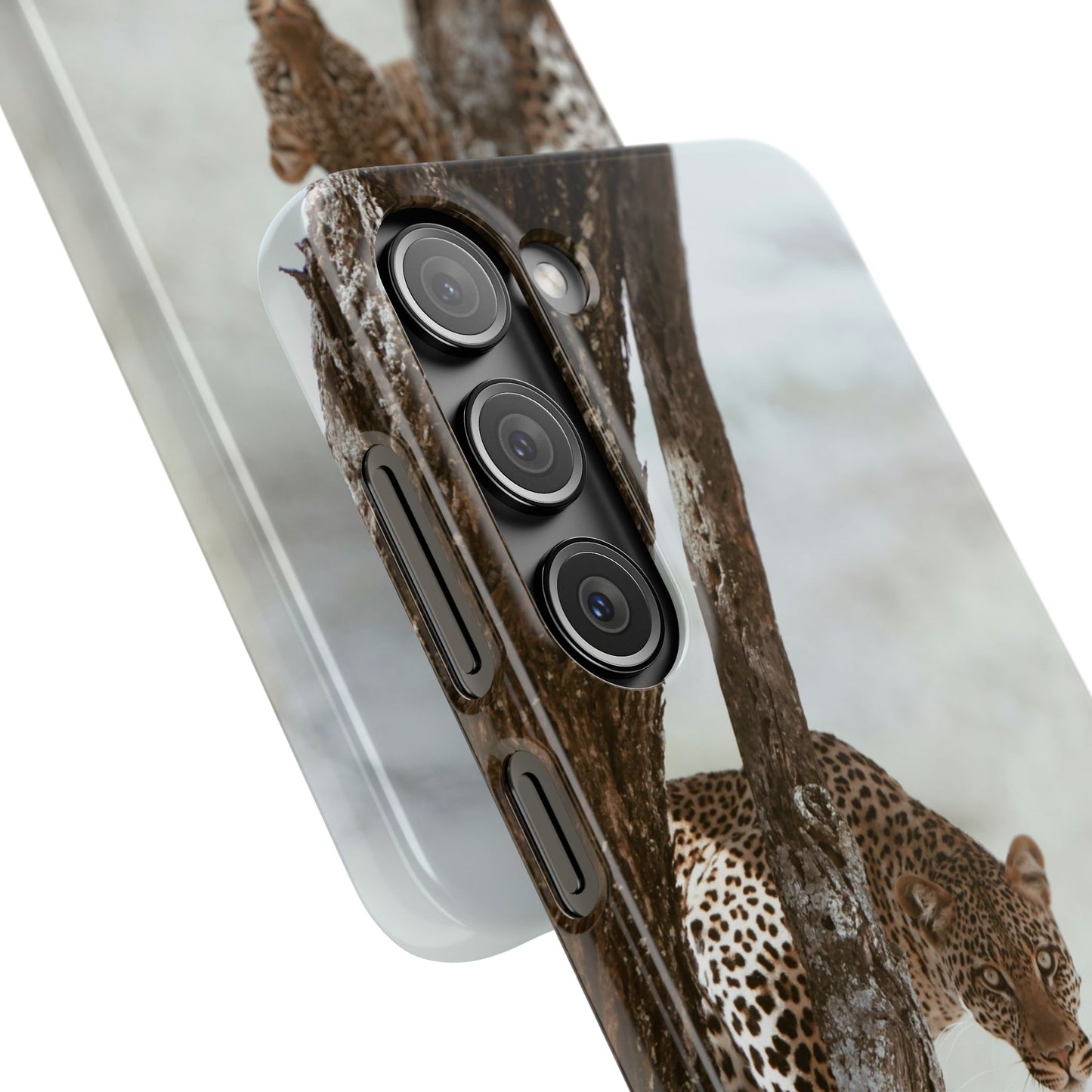 Leopard Cajasol - Wildlife Vibes