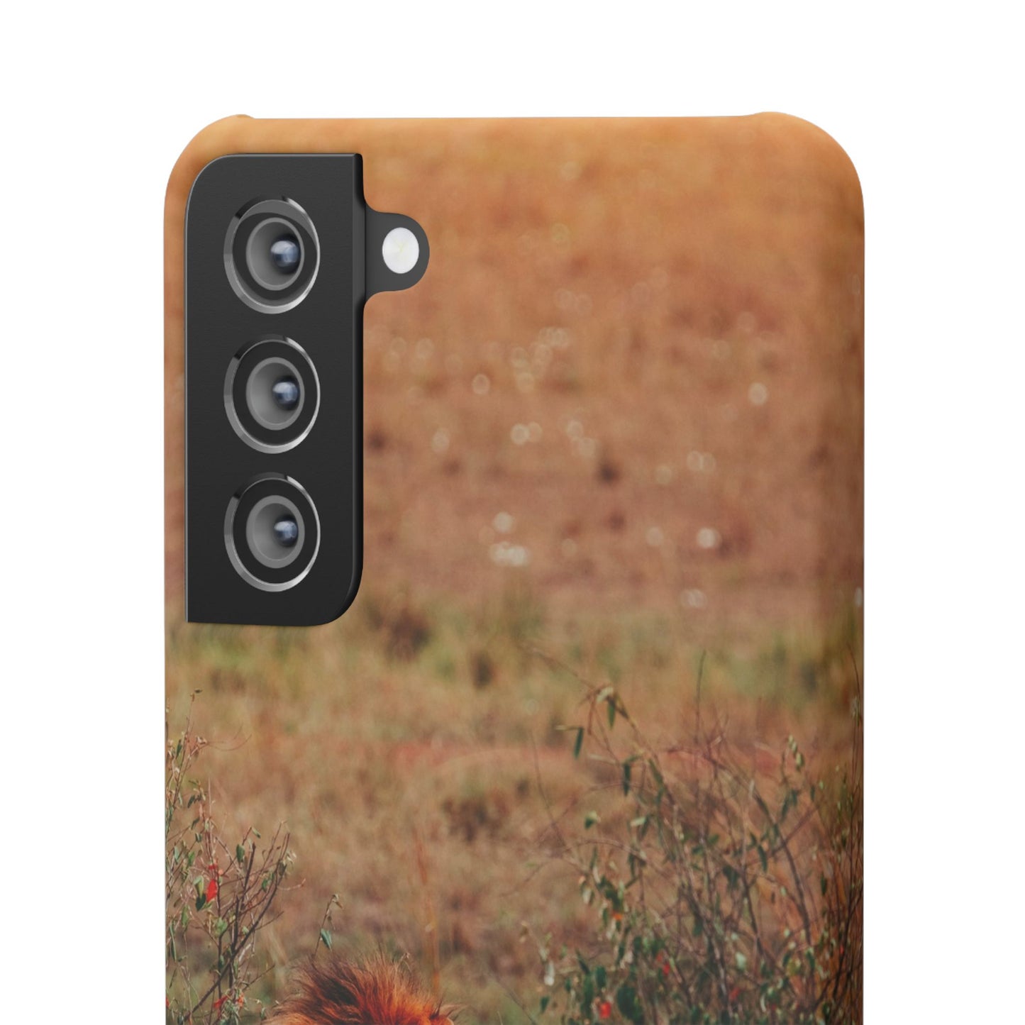 Majestic Lion Cajasol - Nature Inspired