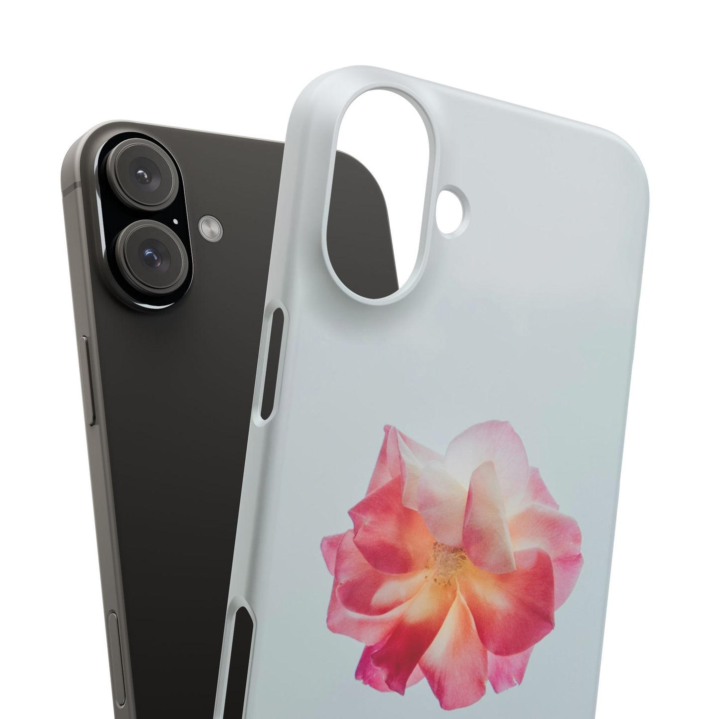 Floral Cajasol - Elegant Pink Flower