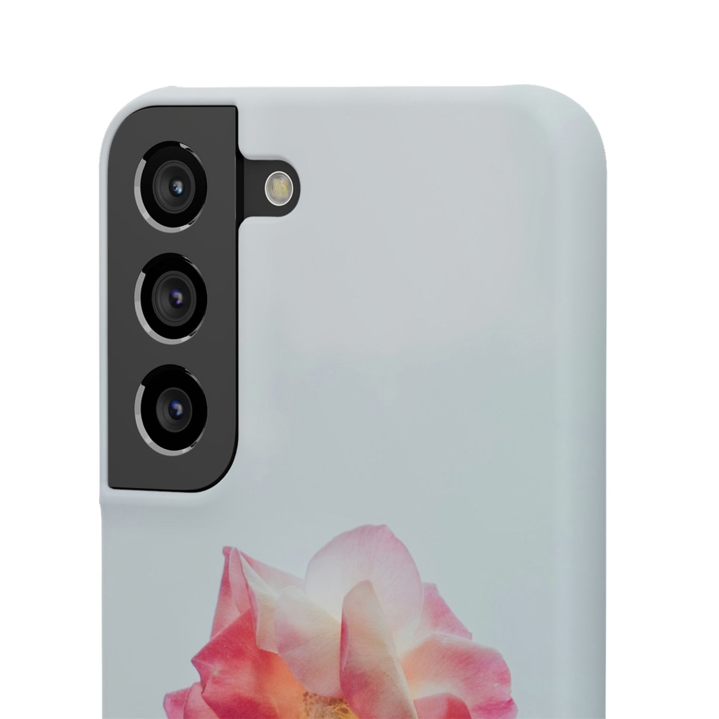 Floral Cajasol - Elegant Pink Flower
