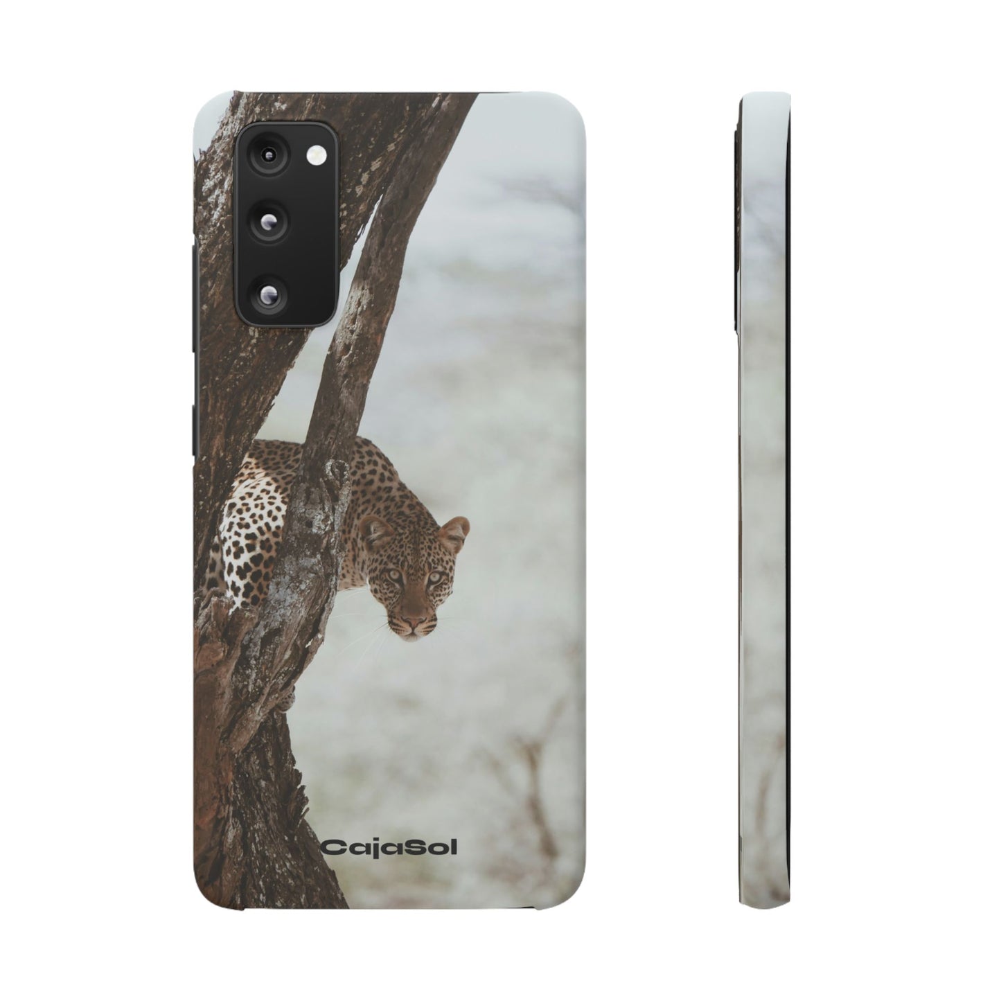 Leopard Cajasol - Wildlife Vibes
